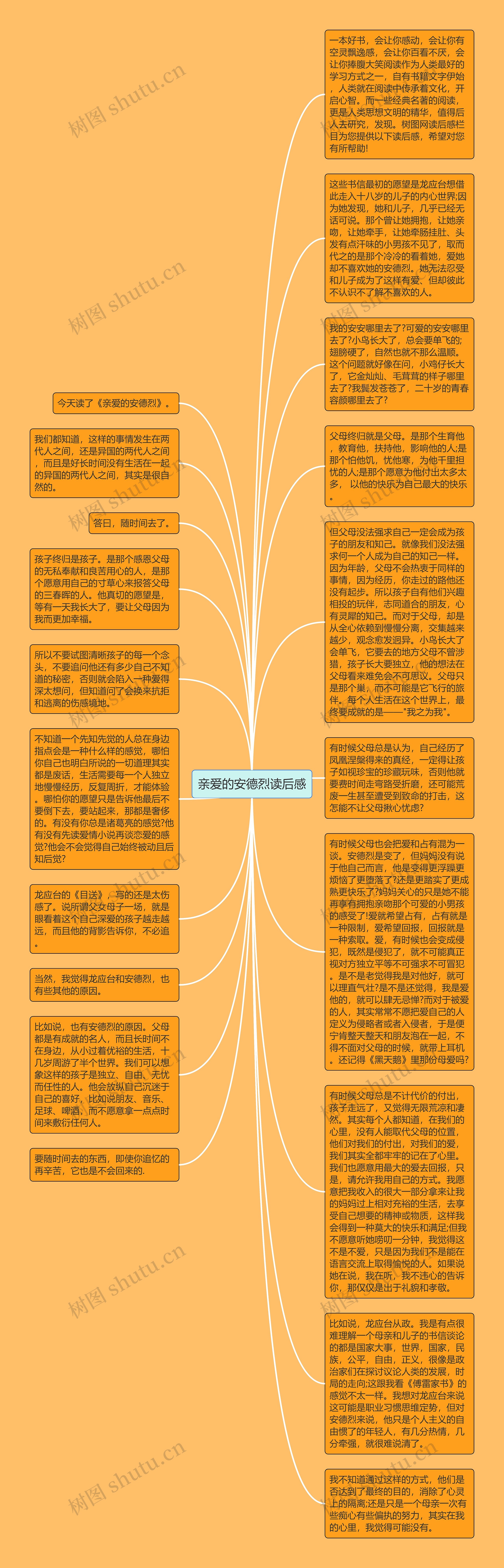 亲爱的安德烈读后感