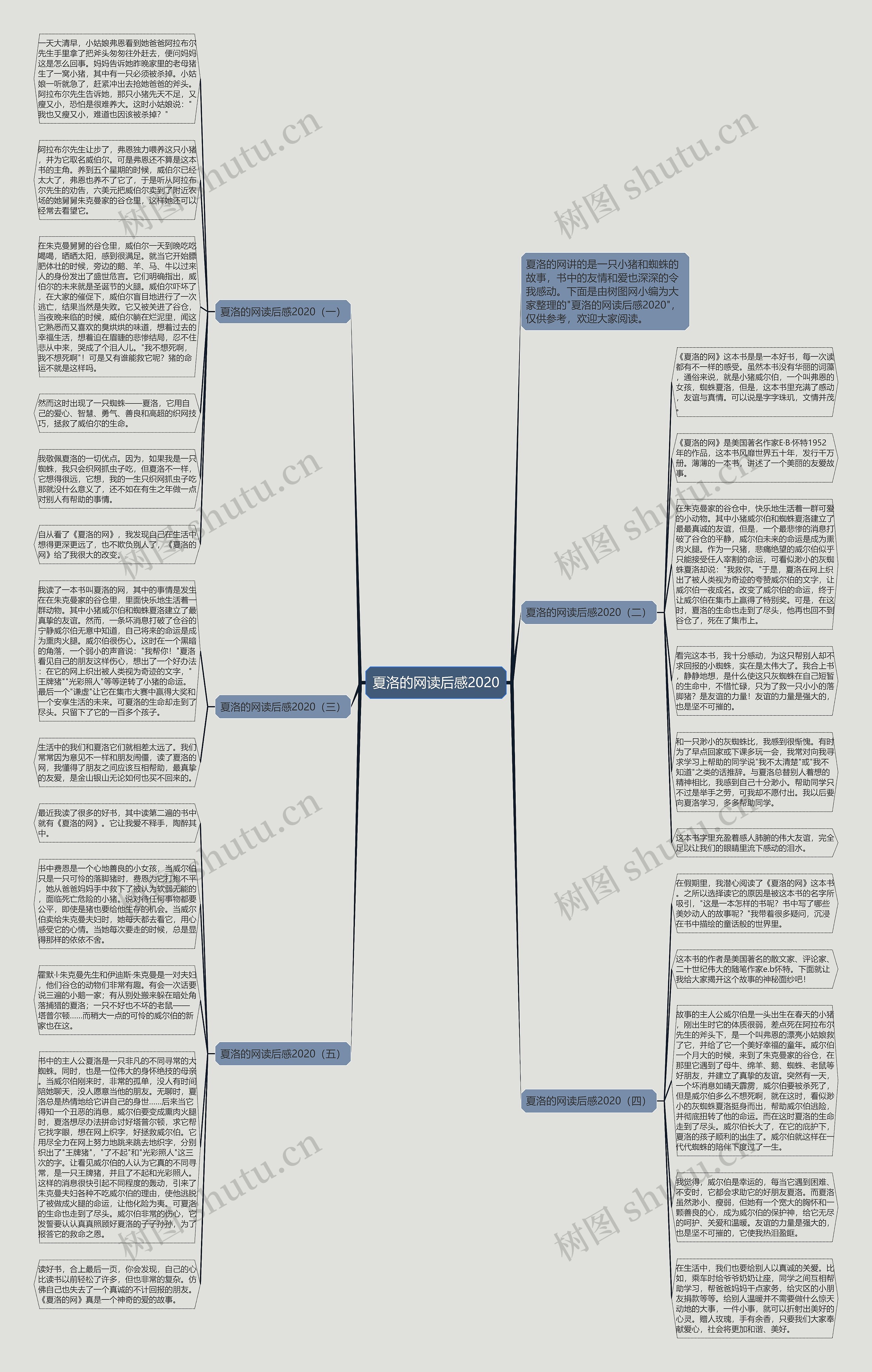 夏洛的网读后感2020思维导图