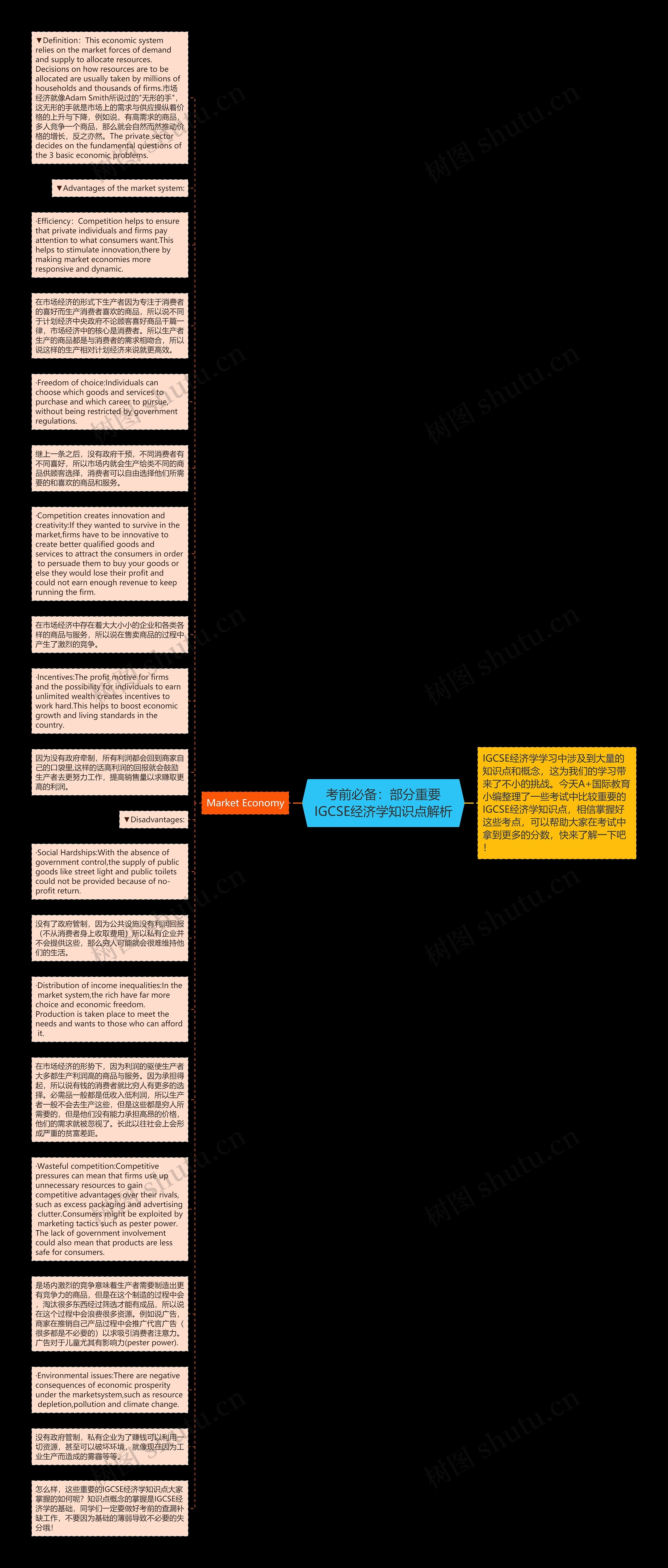 考前必备：部分重要IGCSE经济学知识点解析思维导图