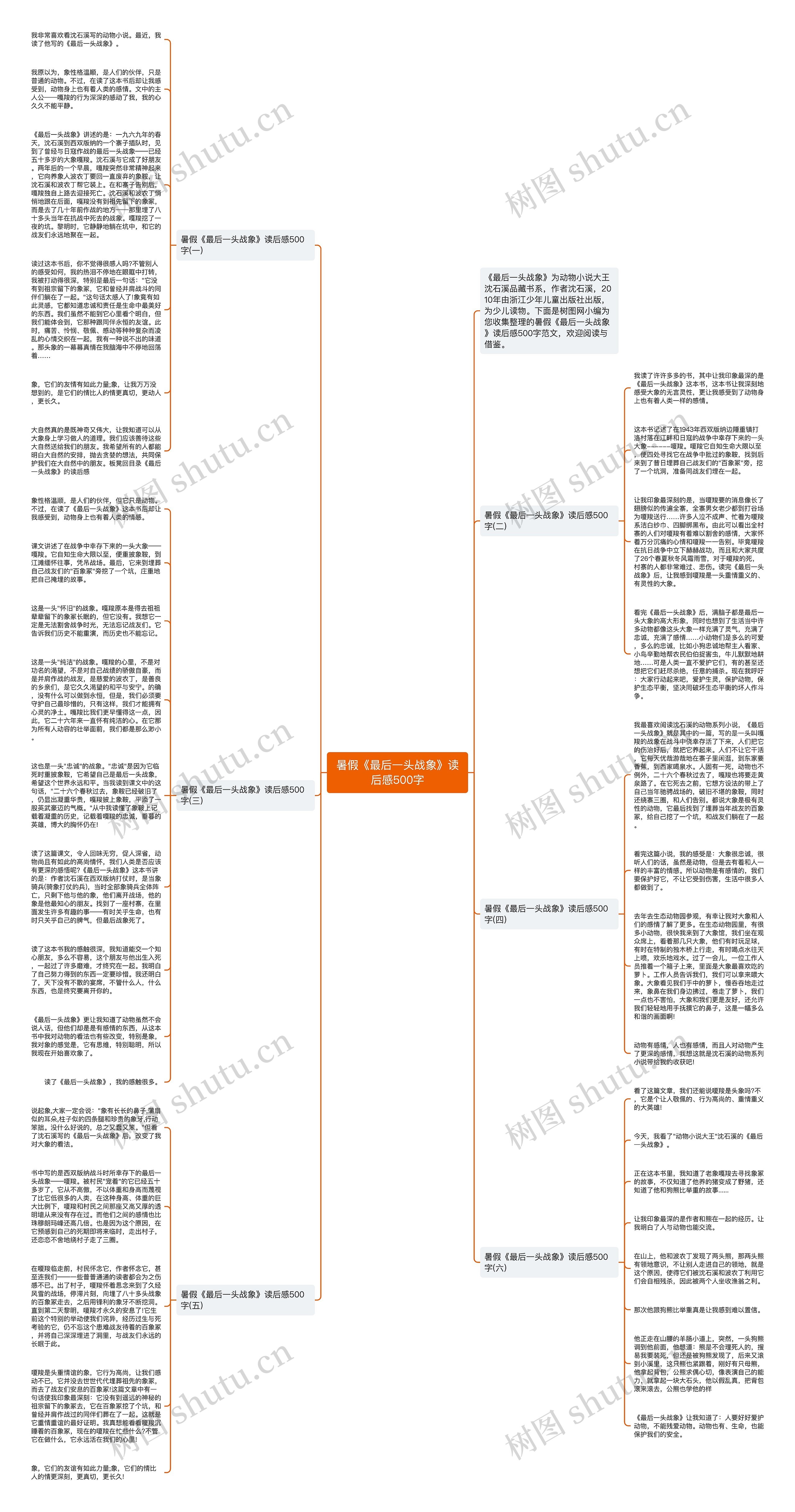 暑假《最后一头战象》读后感500字思维导图