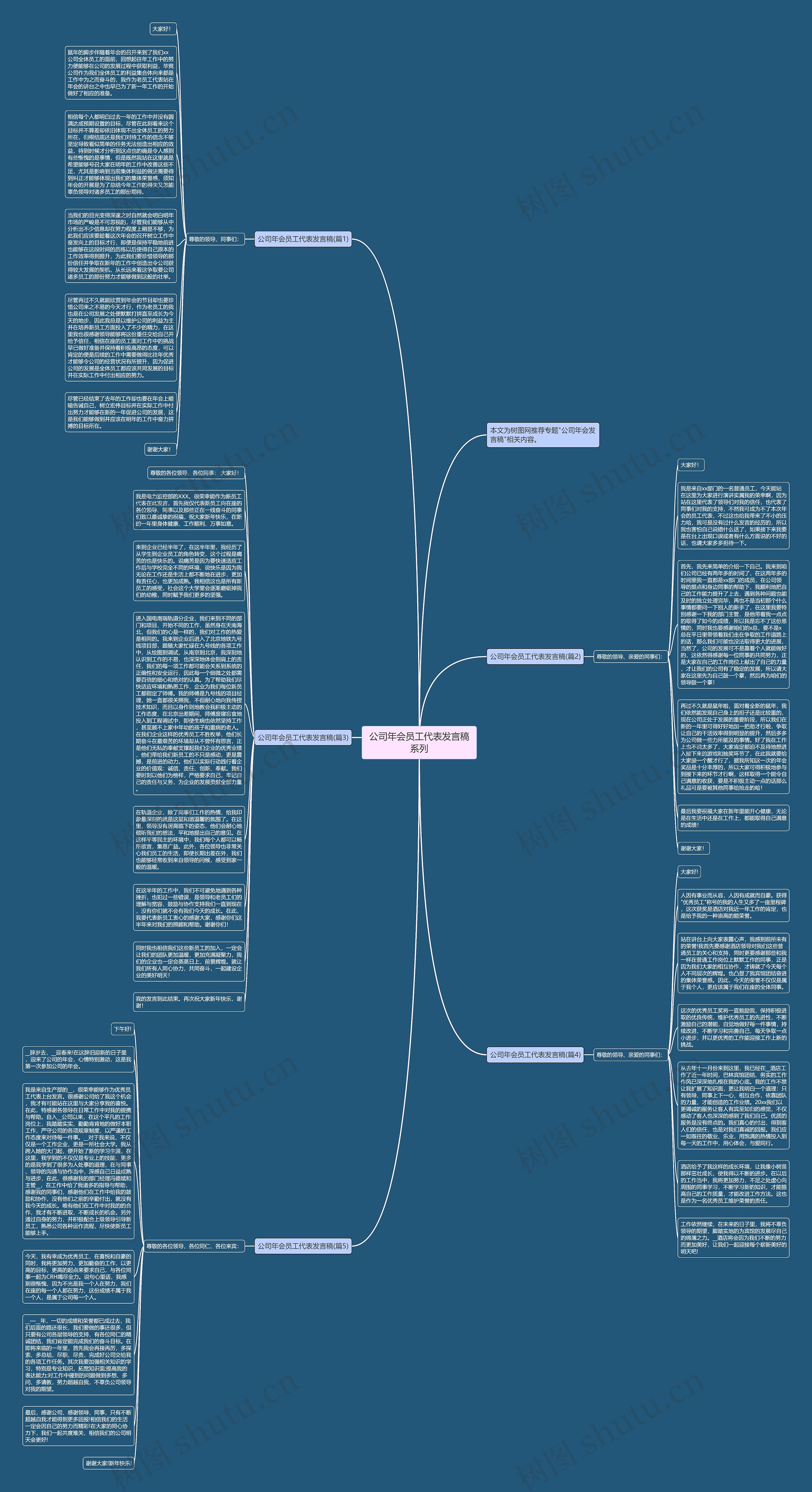 公司年会员工代表发言稿系列思维导图