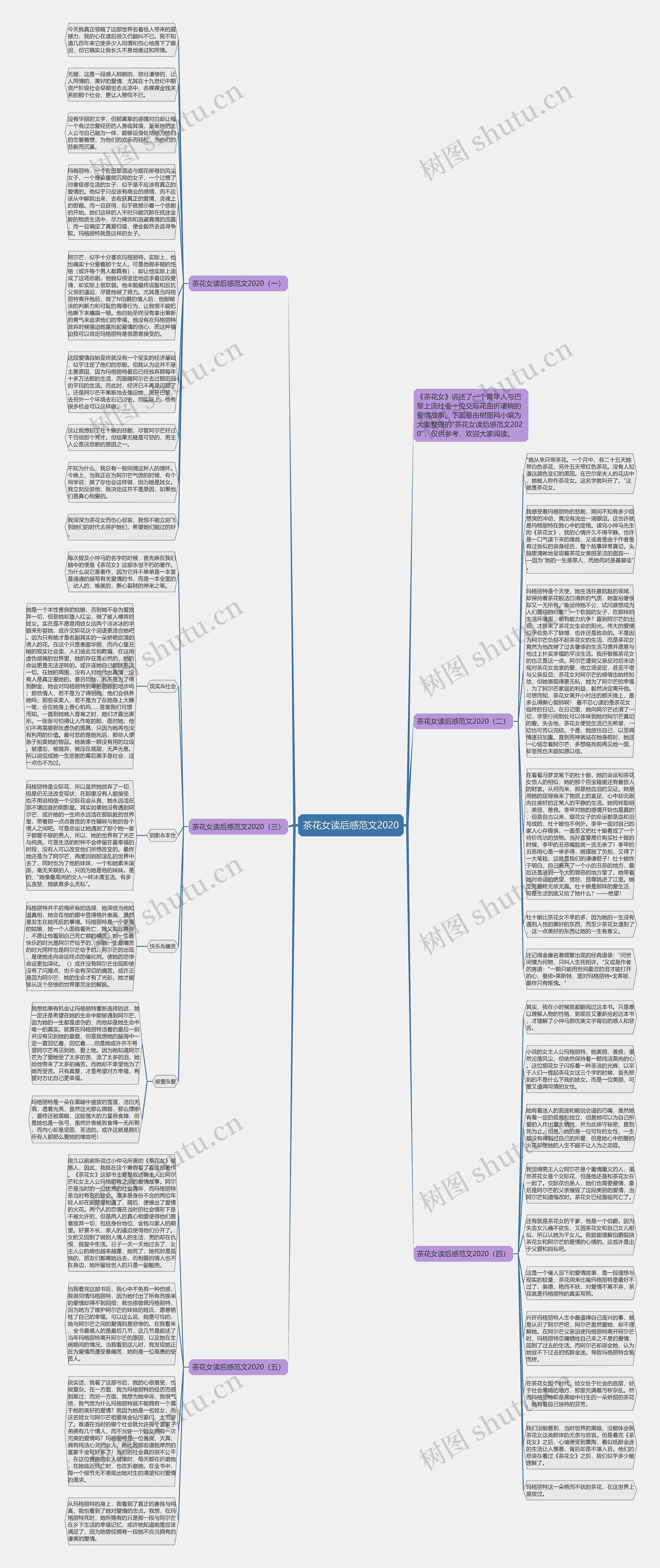 茶花女读后感范文2020思维导图