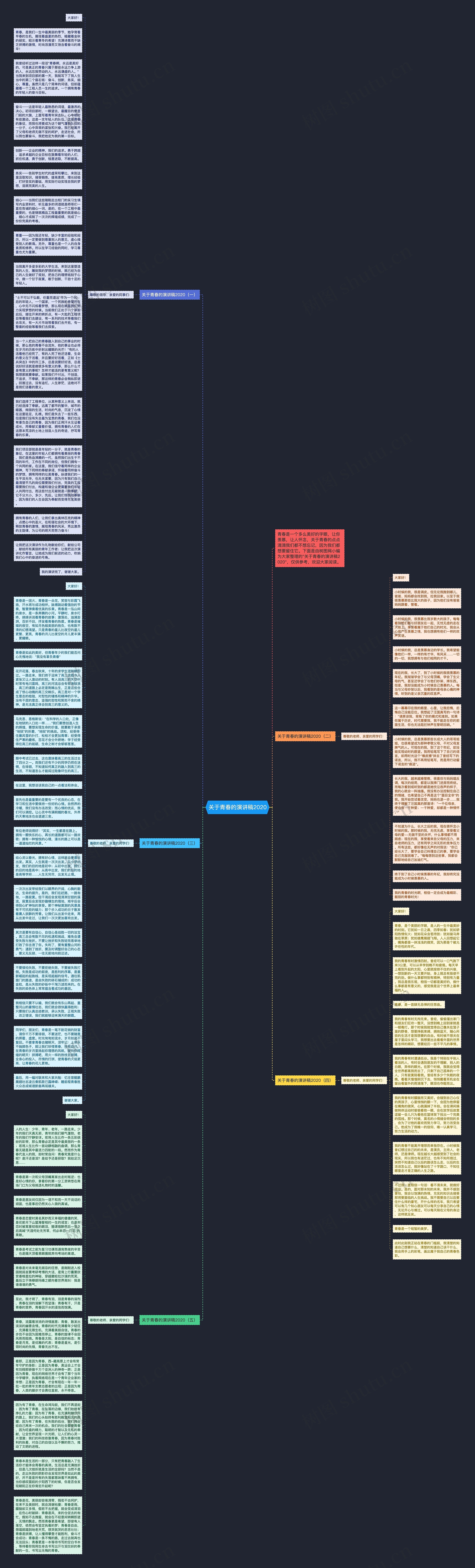 关于青春的演讲稿2020思维导图