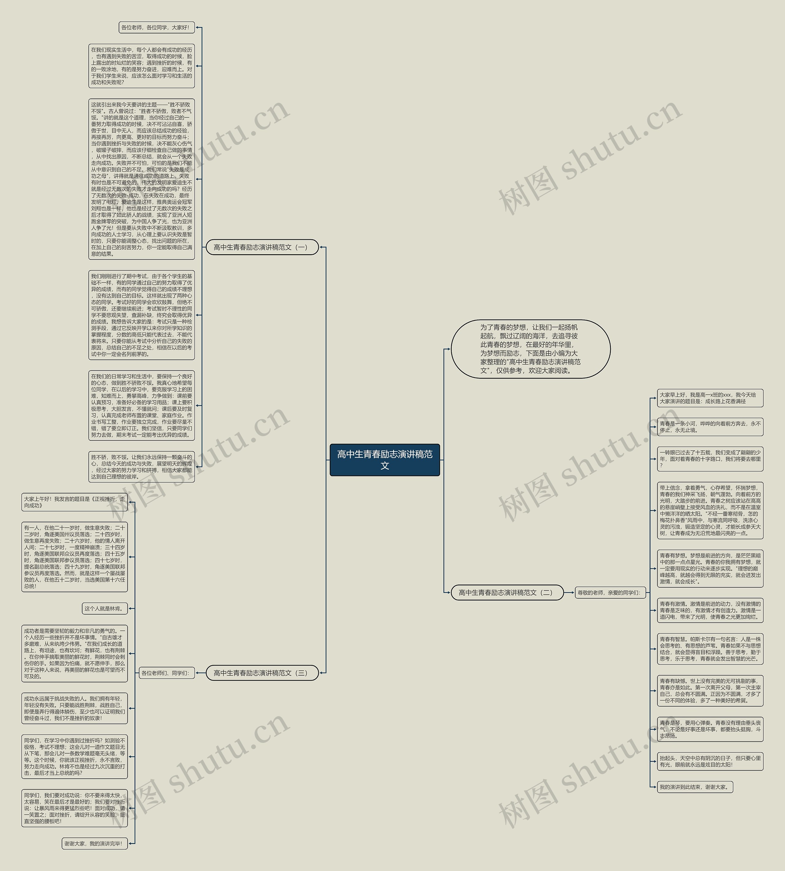 高中生青春励志演讲稿范文思维导图