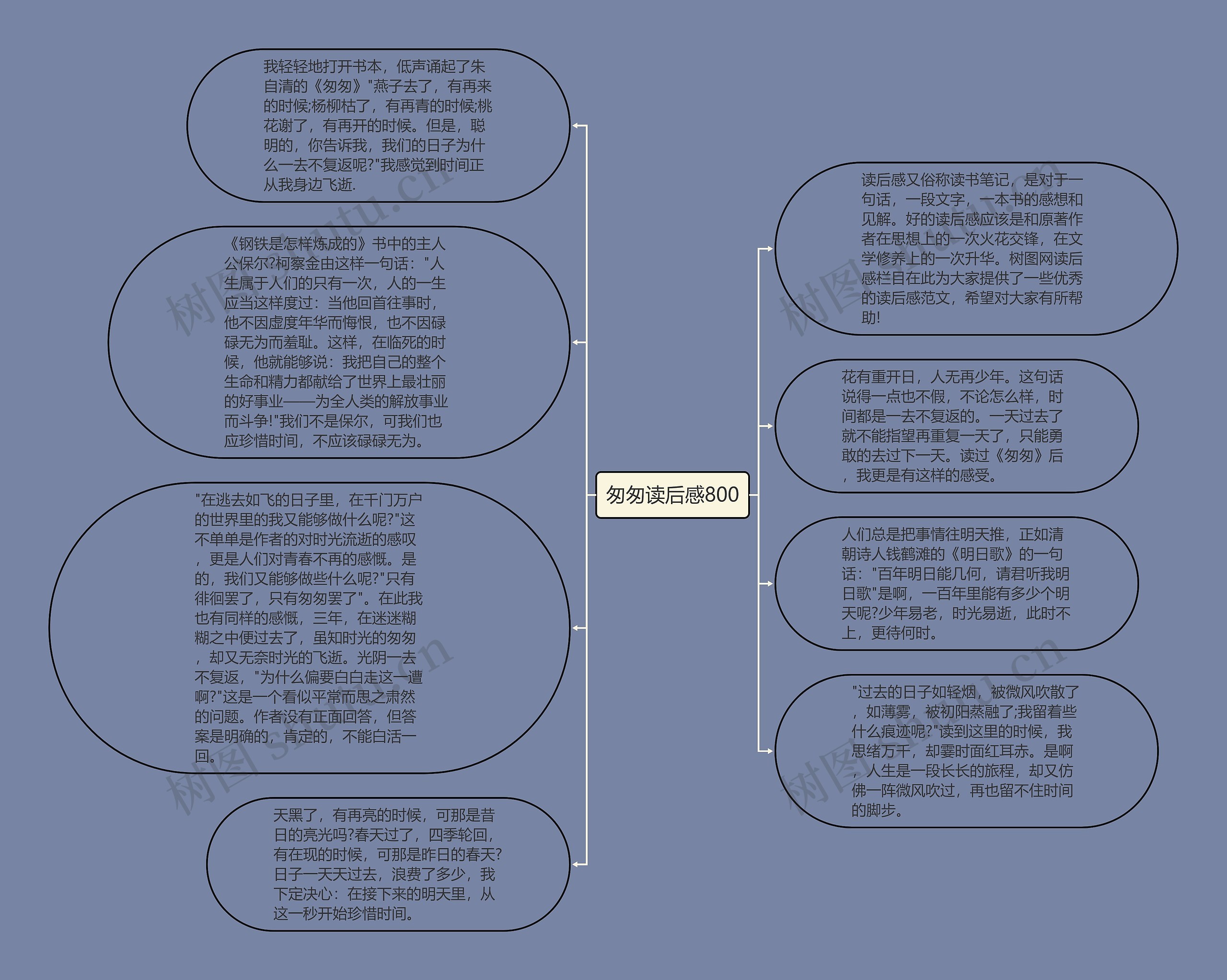 匆匆读后感800