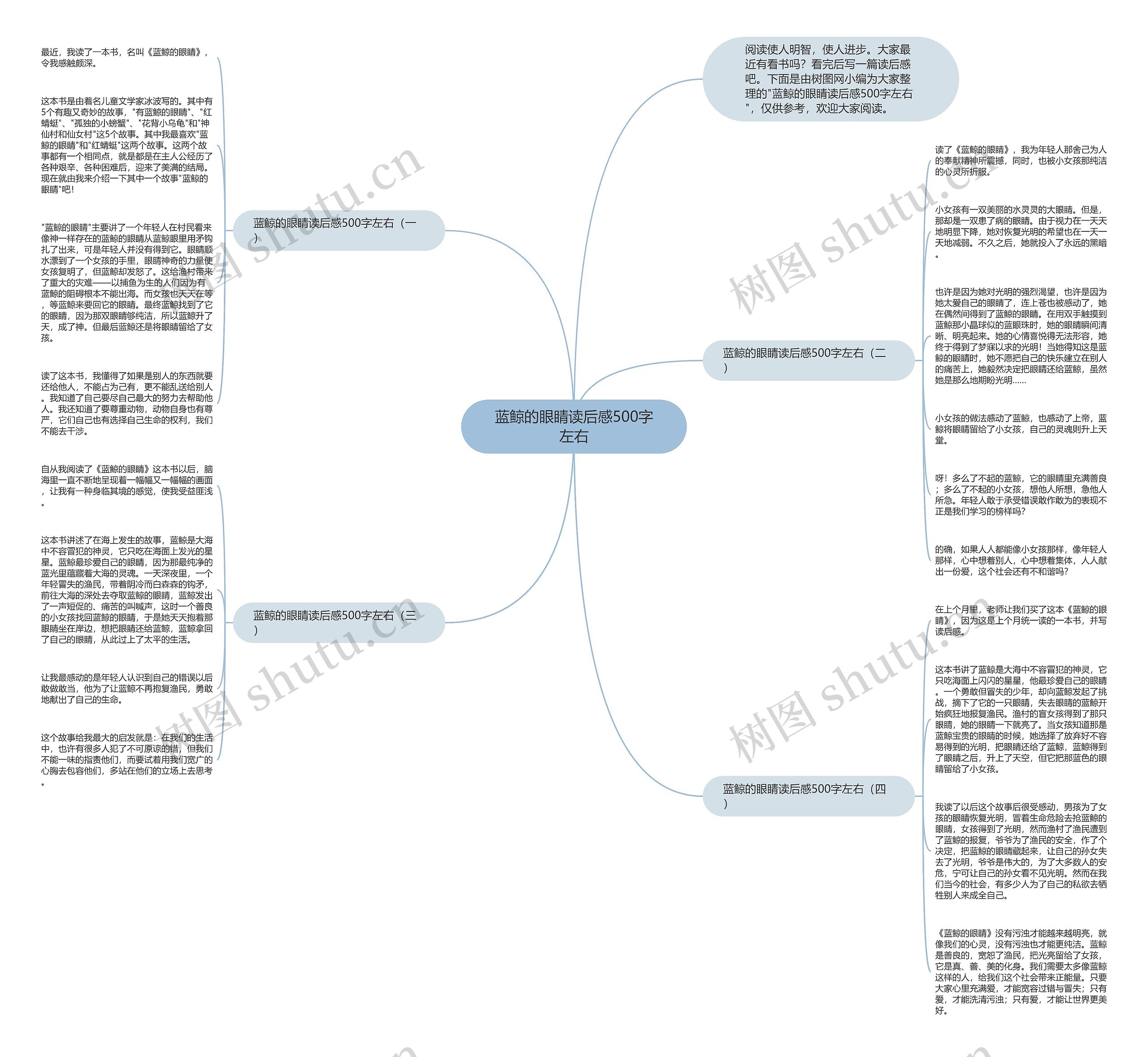 蓝鲸的眼睛读后感500字左右思维导图