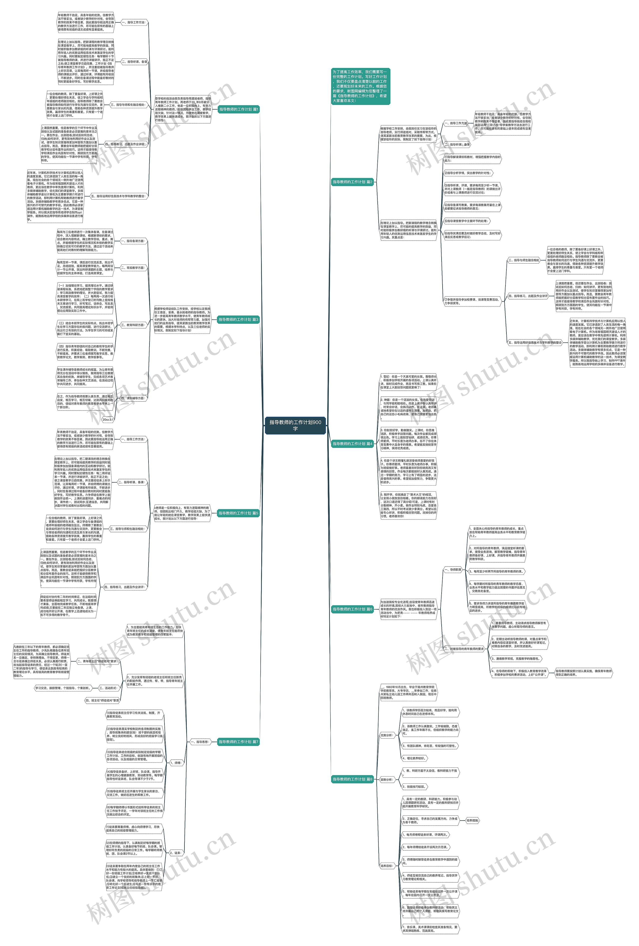 指导教师的工作计划900字