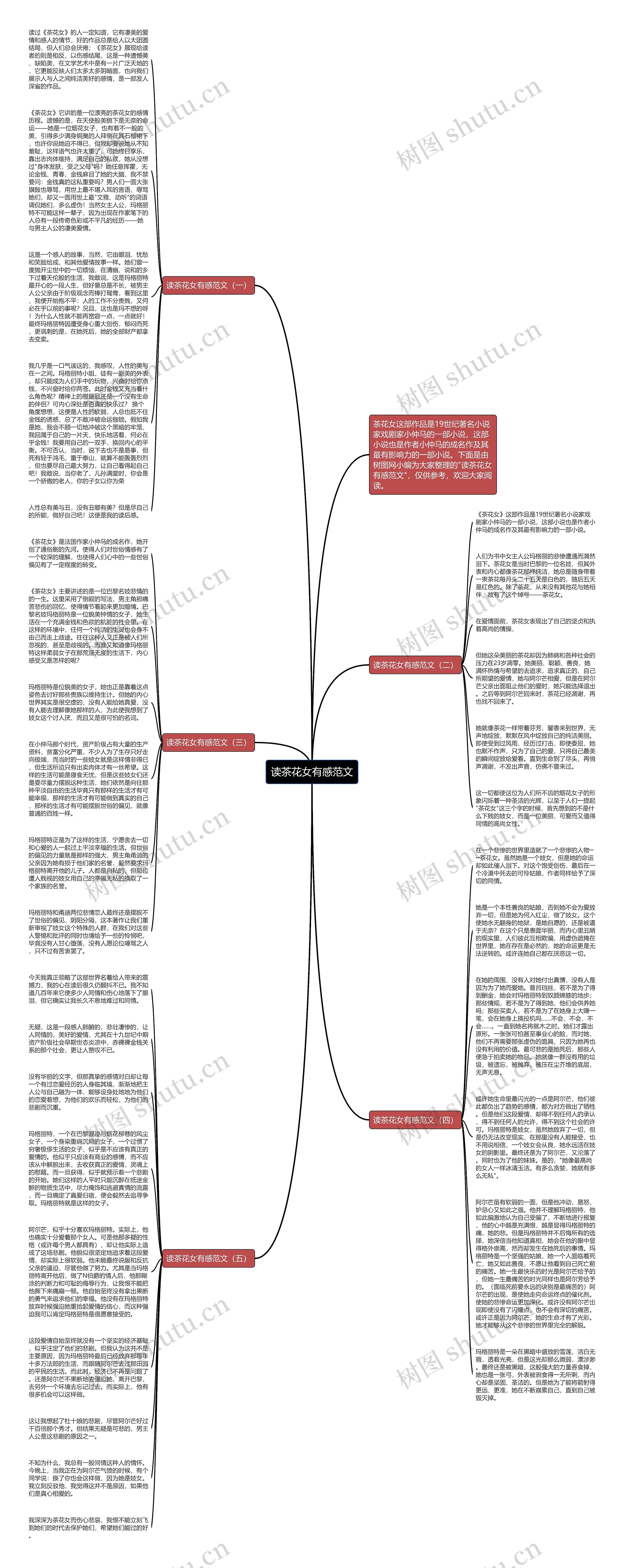 读茶花女有感范文思维导图