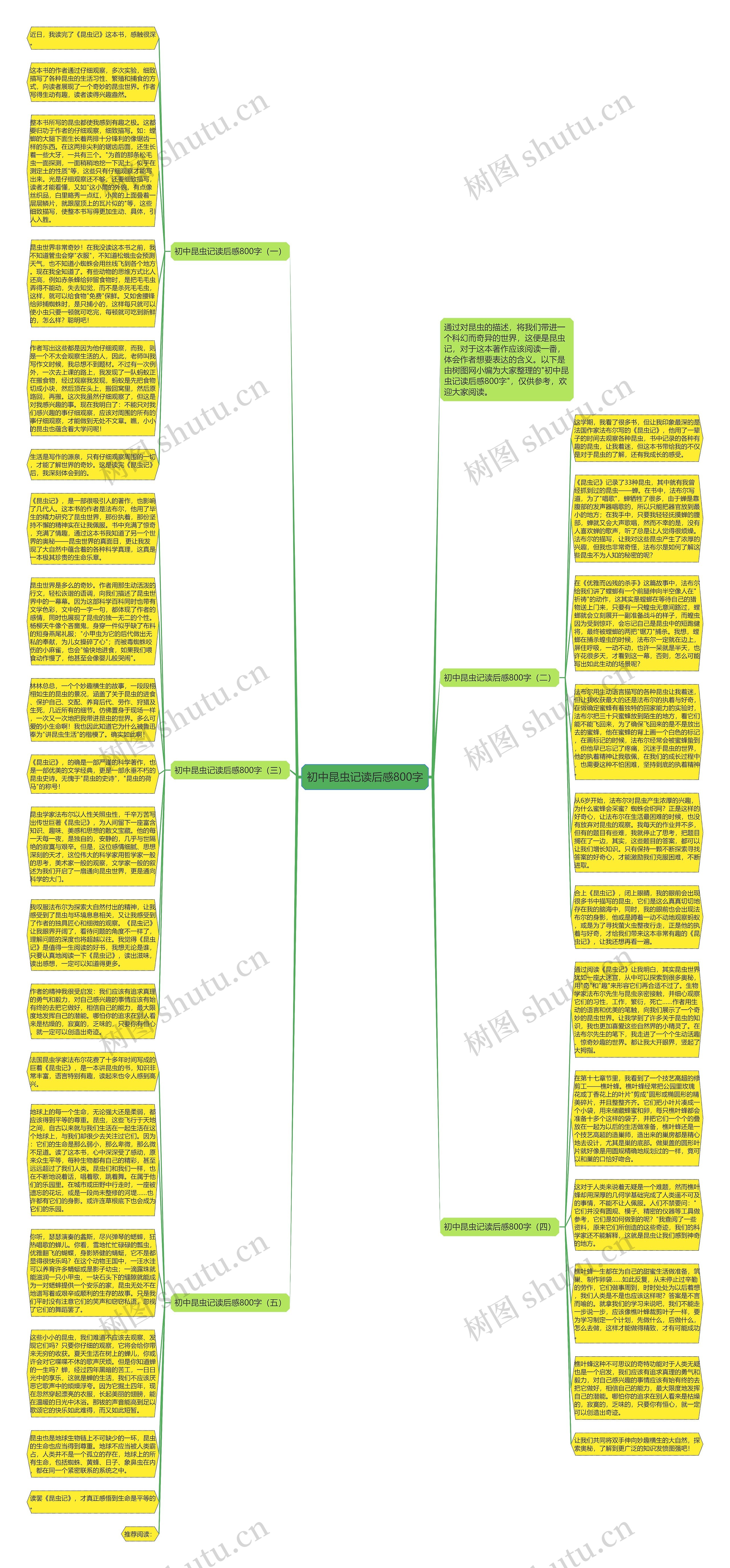 初中昆虫记读后感800字思维导图