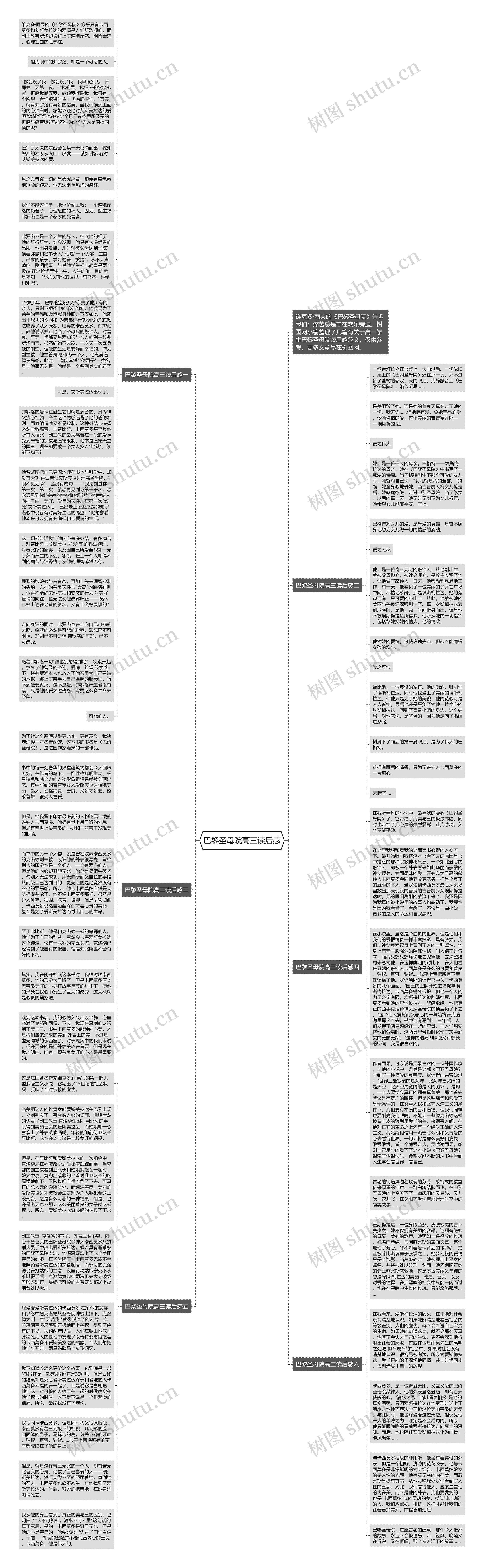 巴黎圣母院高三读后感思维导图
