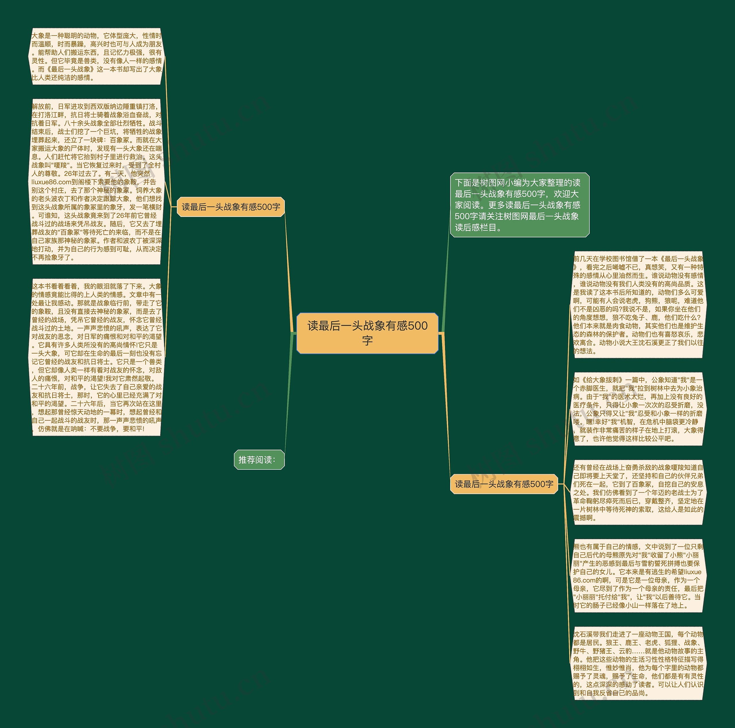 读最后一头战象有感500字思维导图
