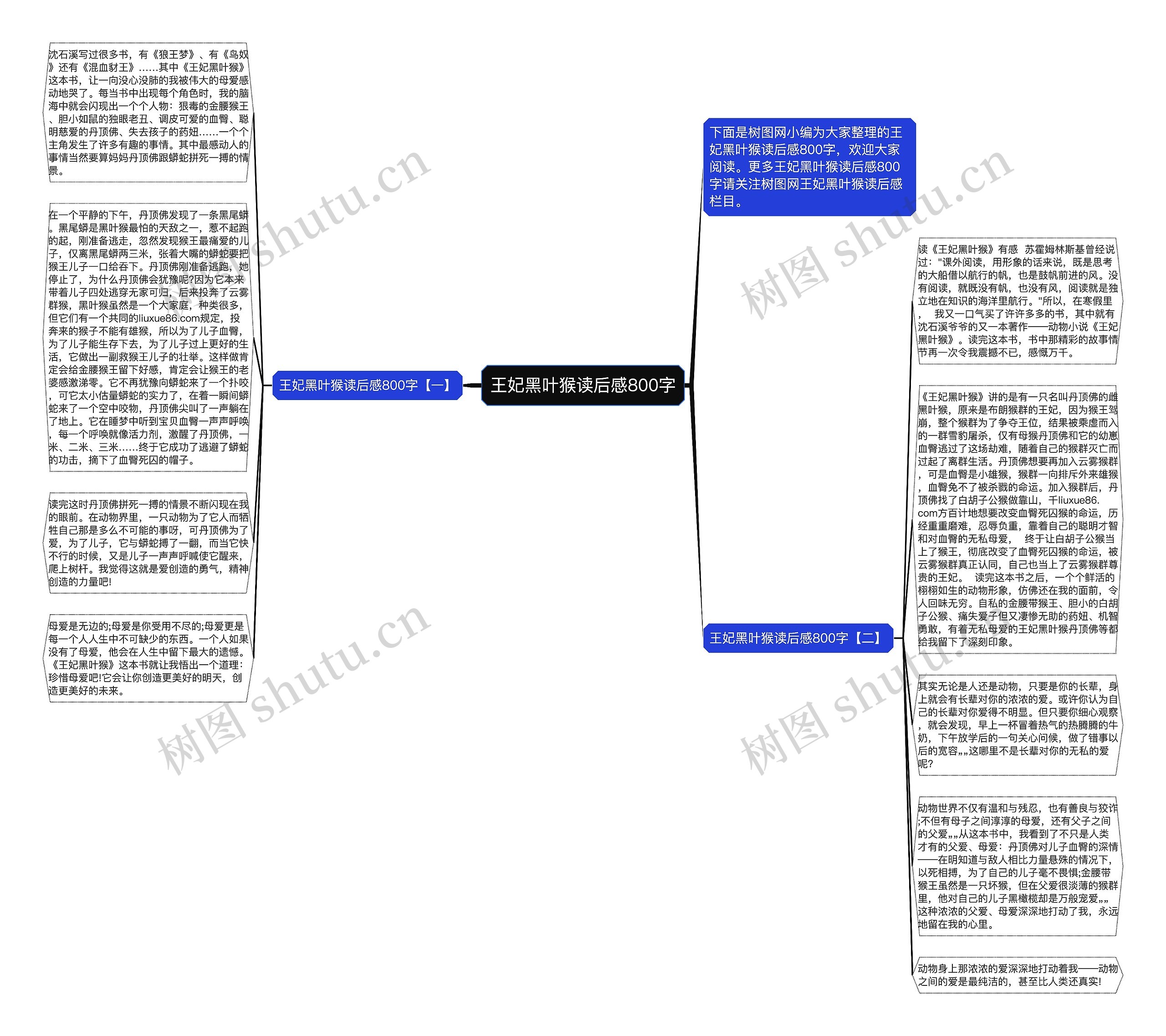 王妃黑叶猴读后感800字思维导图