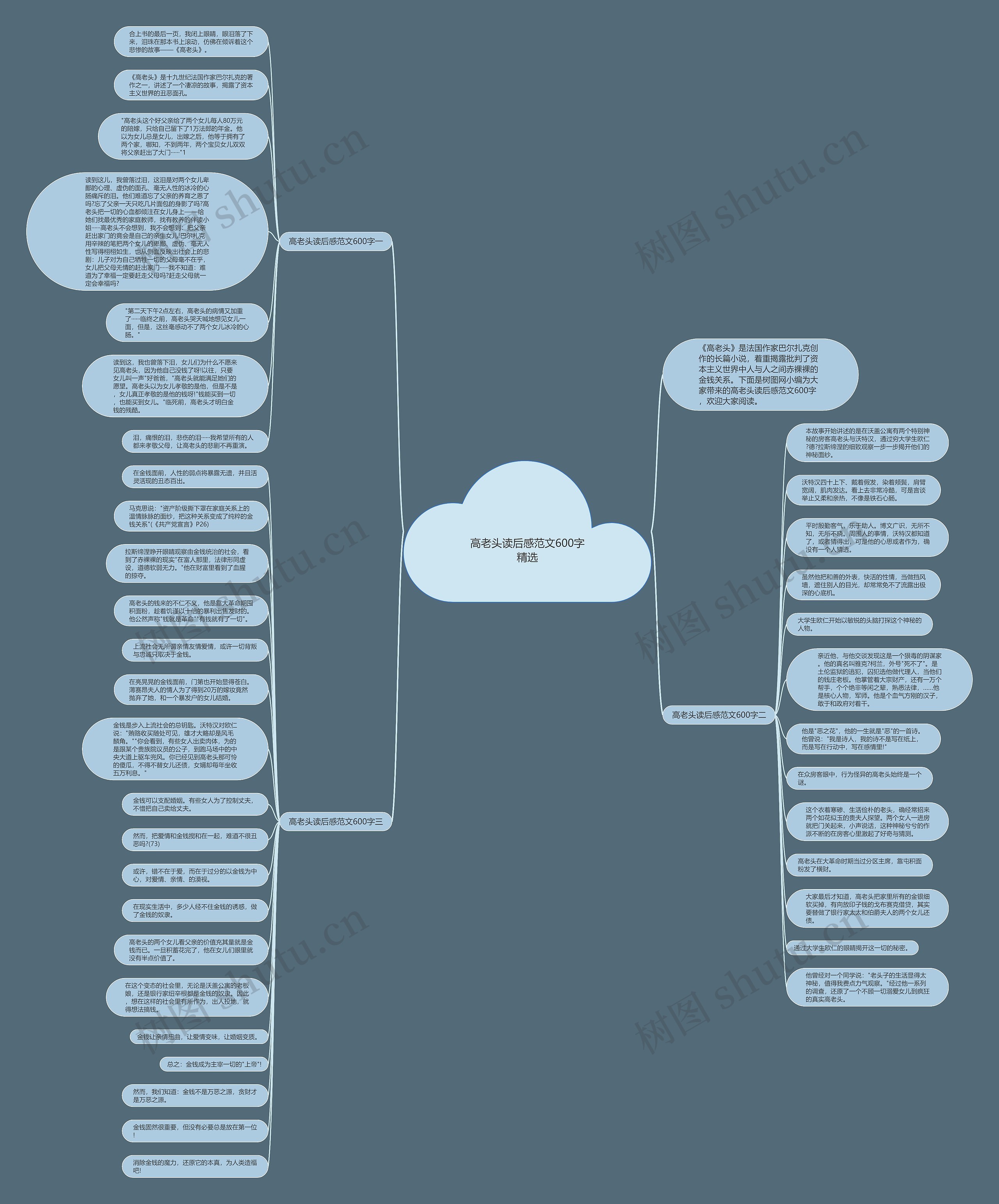 高老头读后感范文600字精选思维导图