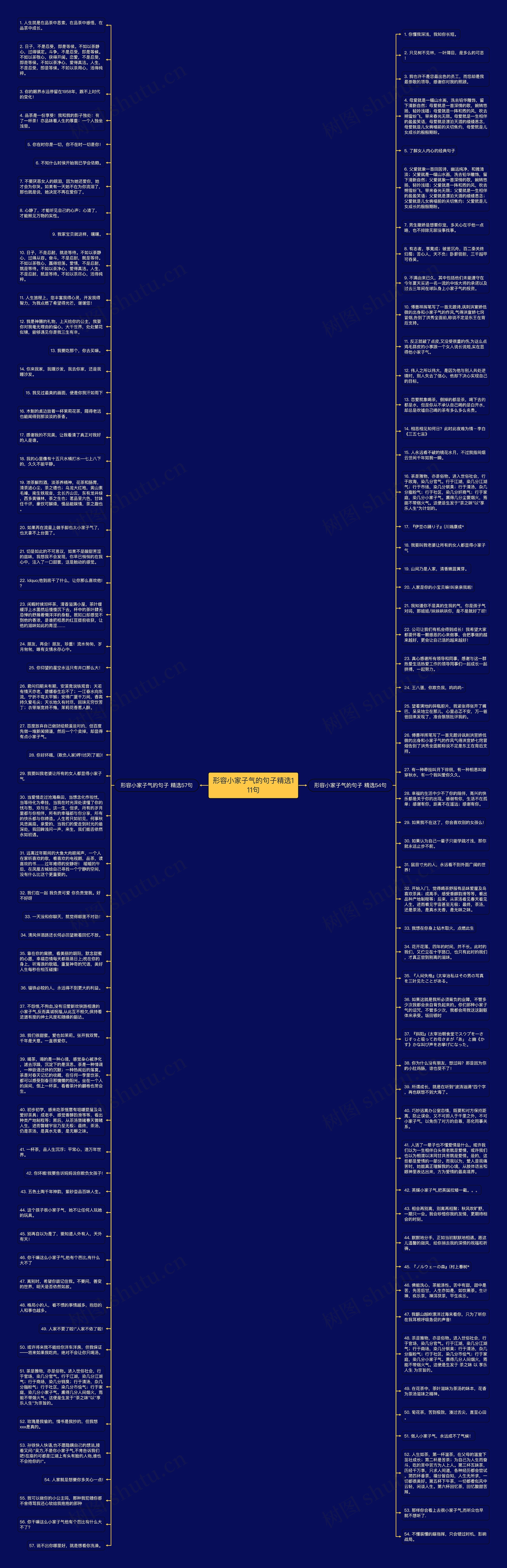 形容小家子气的句子精选111句思维导图