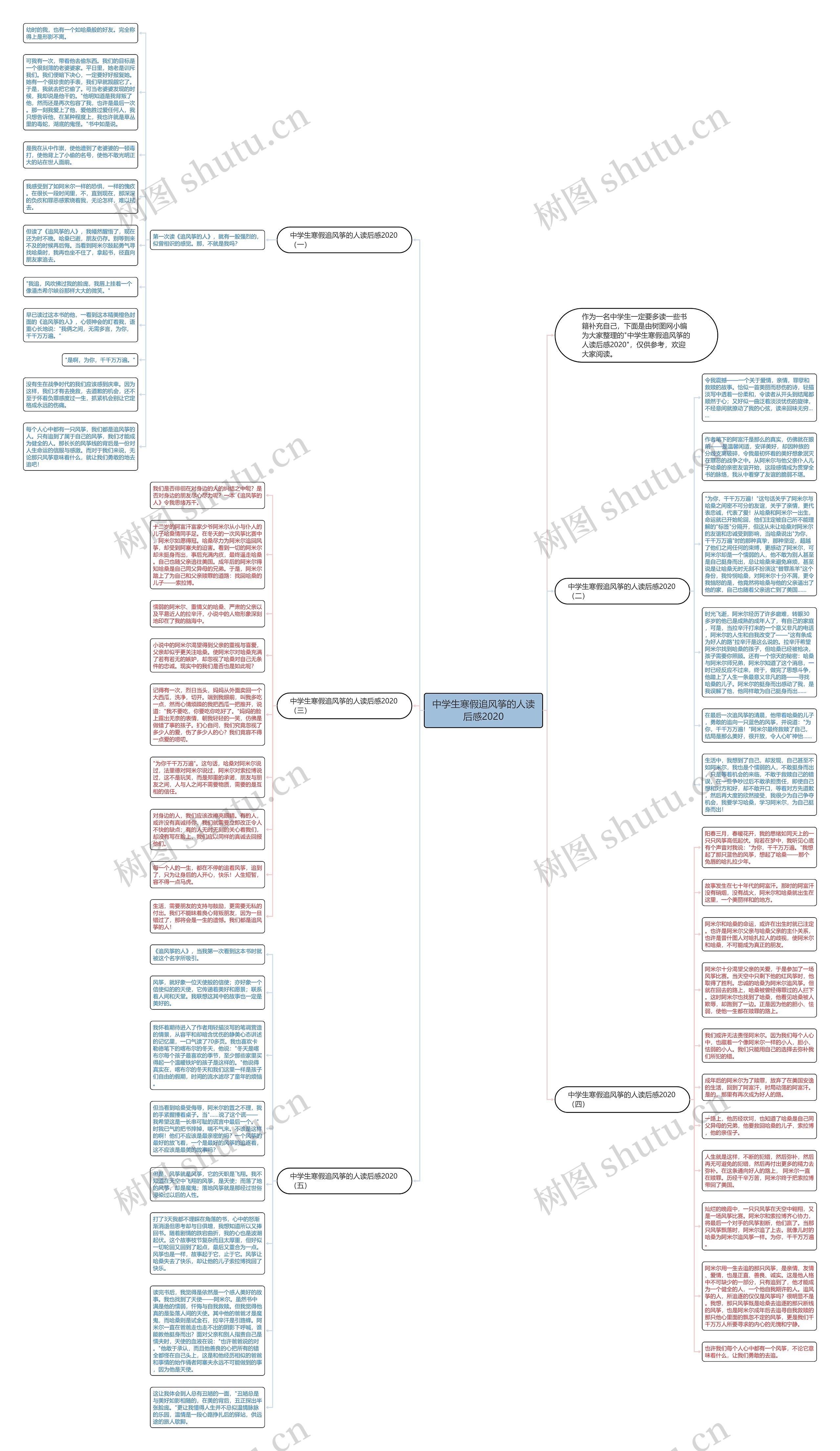 中学生寒假追风筝的人读后感2020思维导图