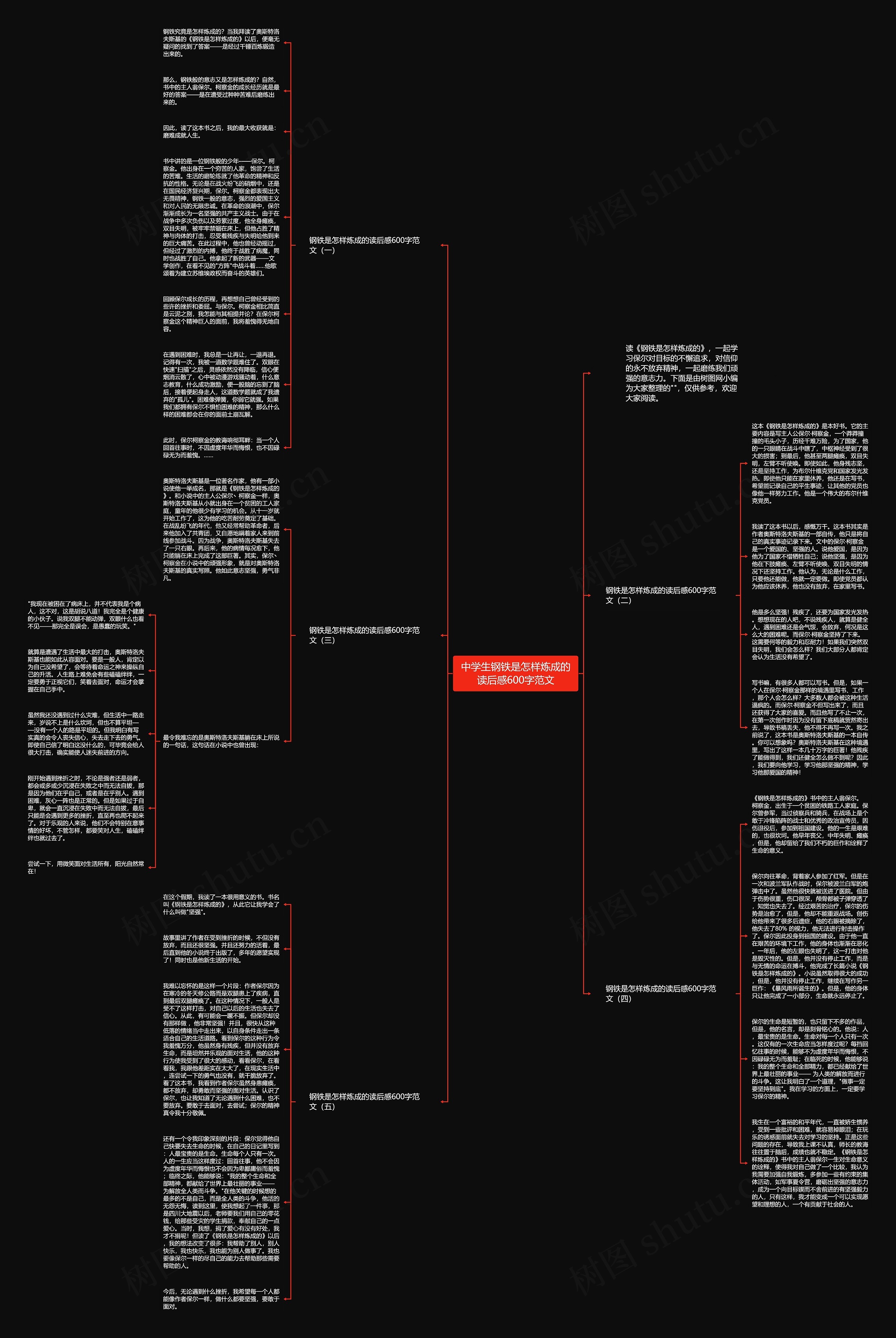 中学生钢铁是怎样炼成的读后感600字范文思维导图