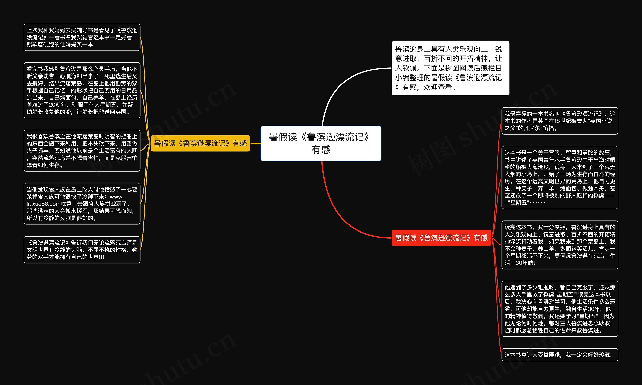 暑假读《鲁滨逊漂流记》有感思维导图