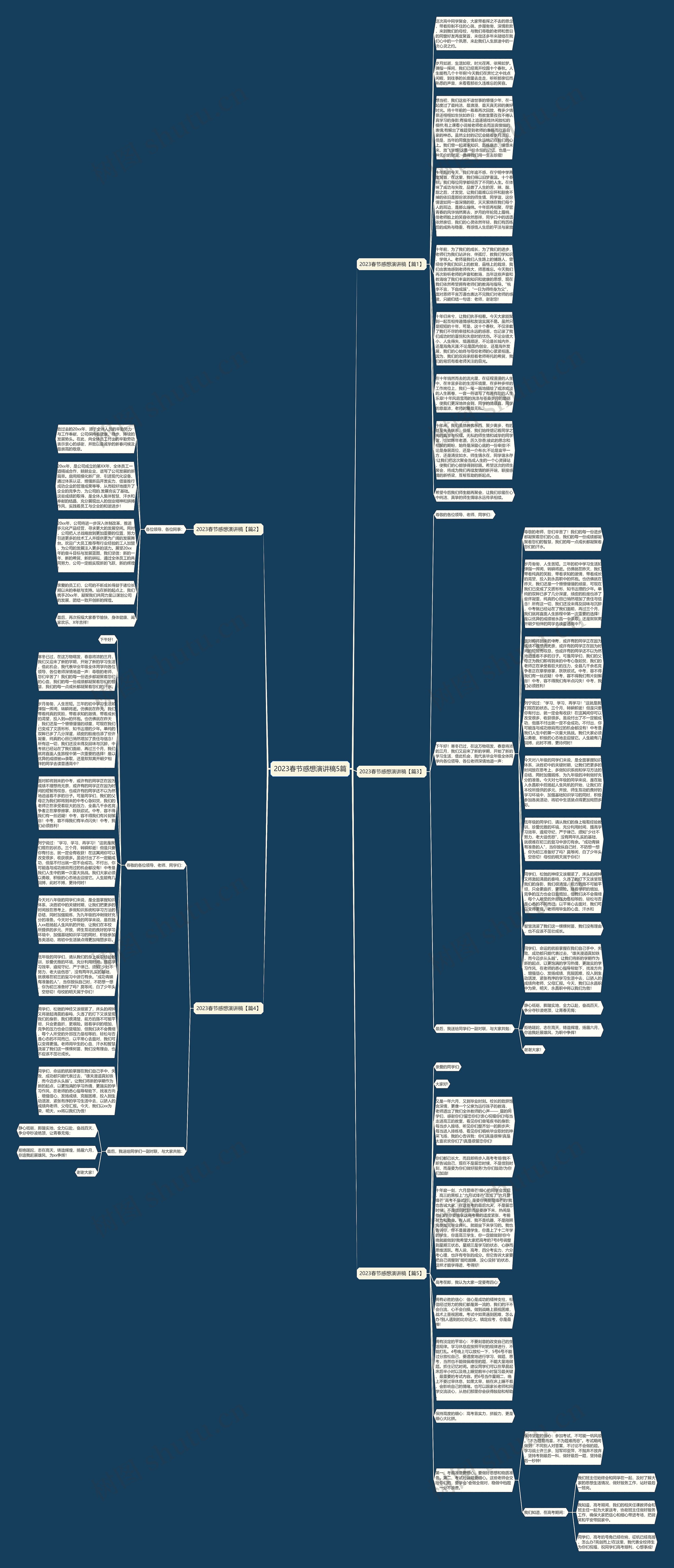 2023春节感想演讲稿5篇思维导图