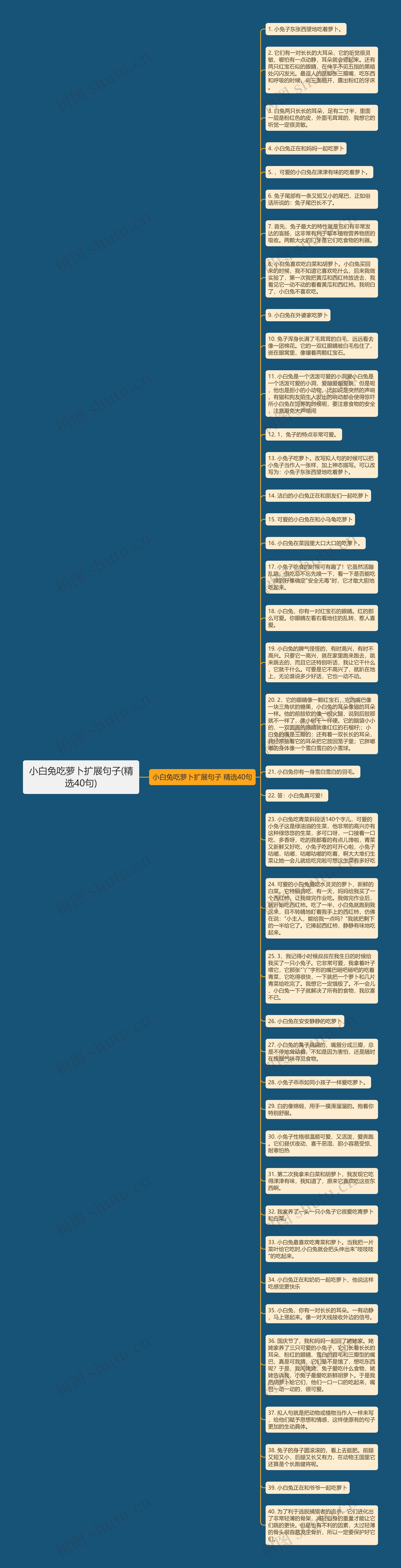 小白兔吃萝卜扩展句子(精选40句)思维导图