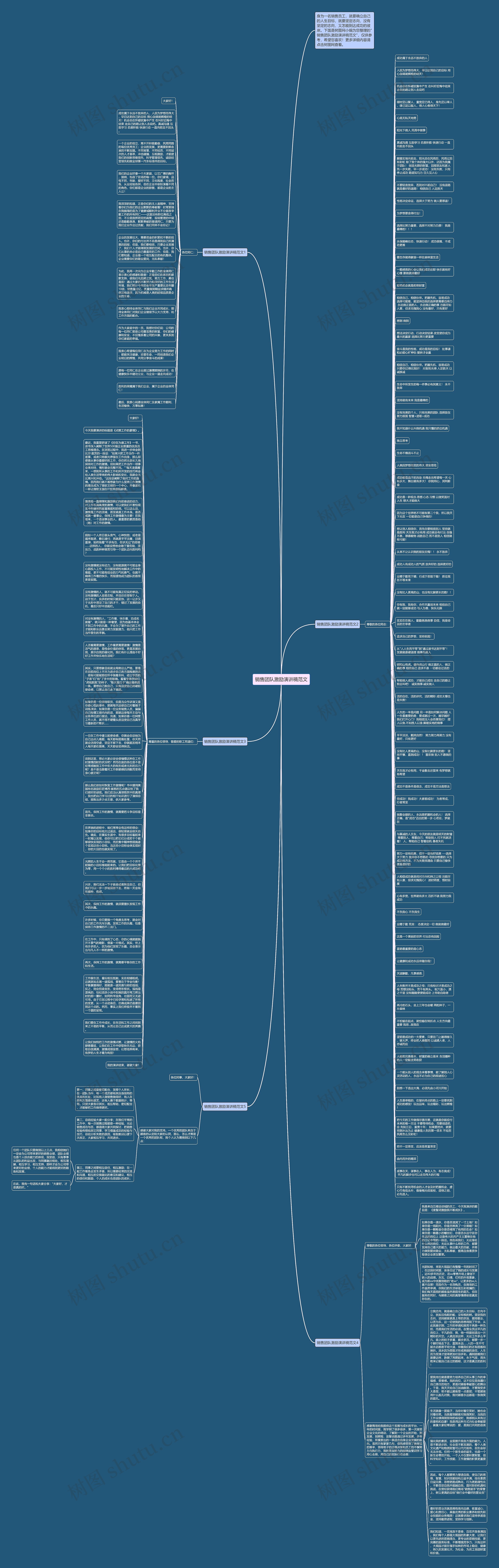 销售团队激励演讲稿范文思维导图