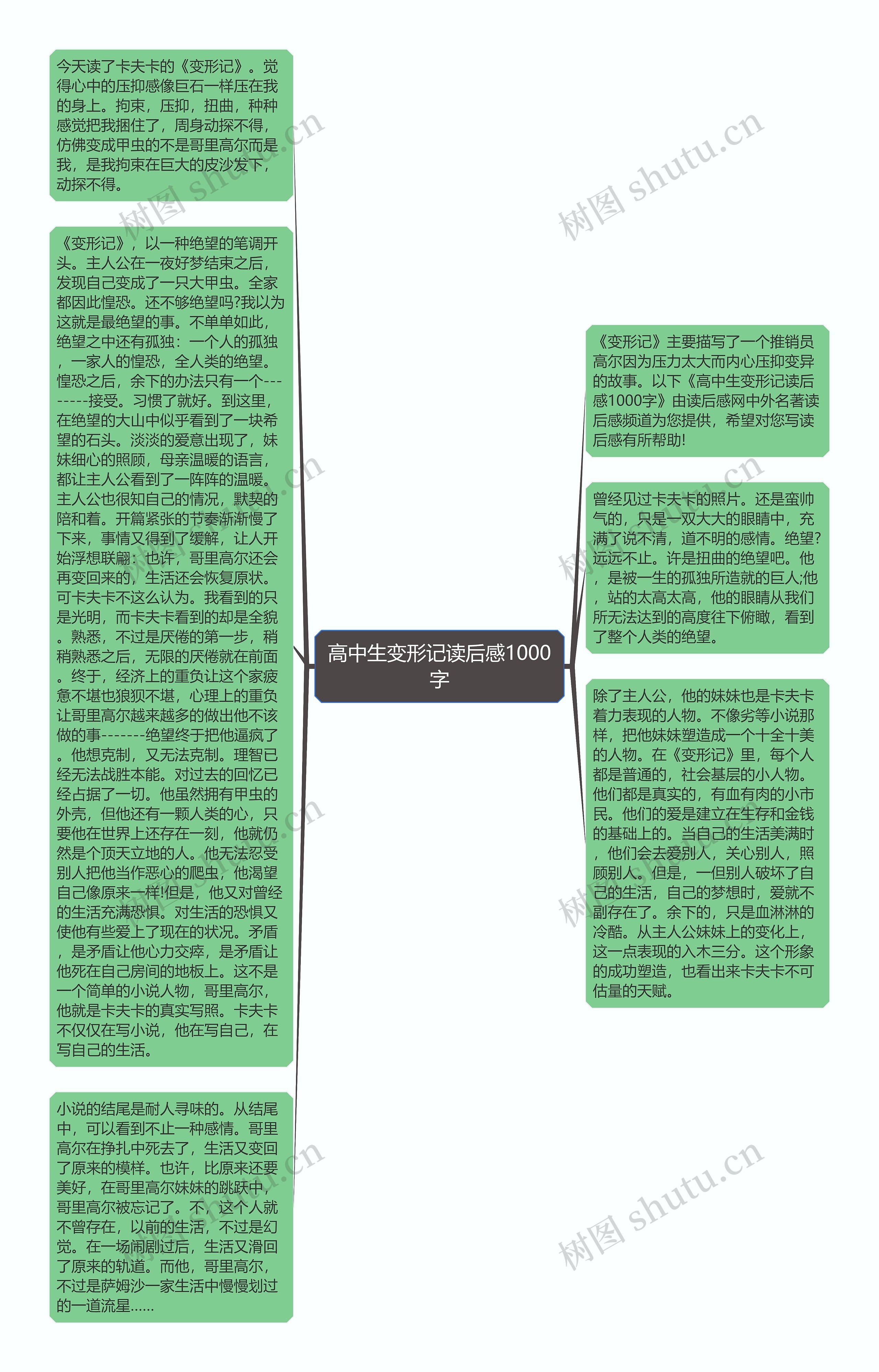 高中生变形记读后感1000字思维导图