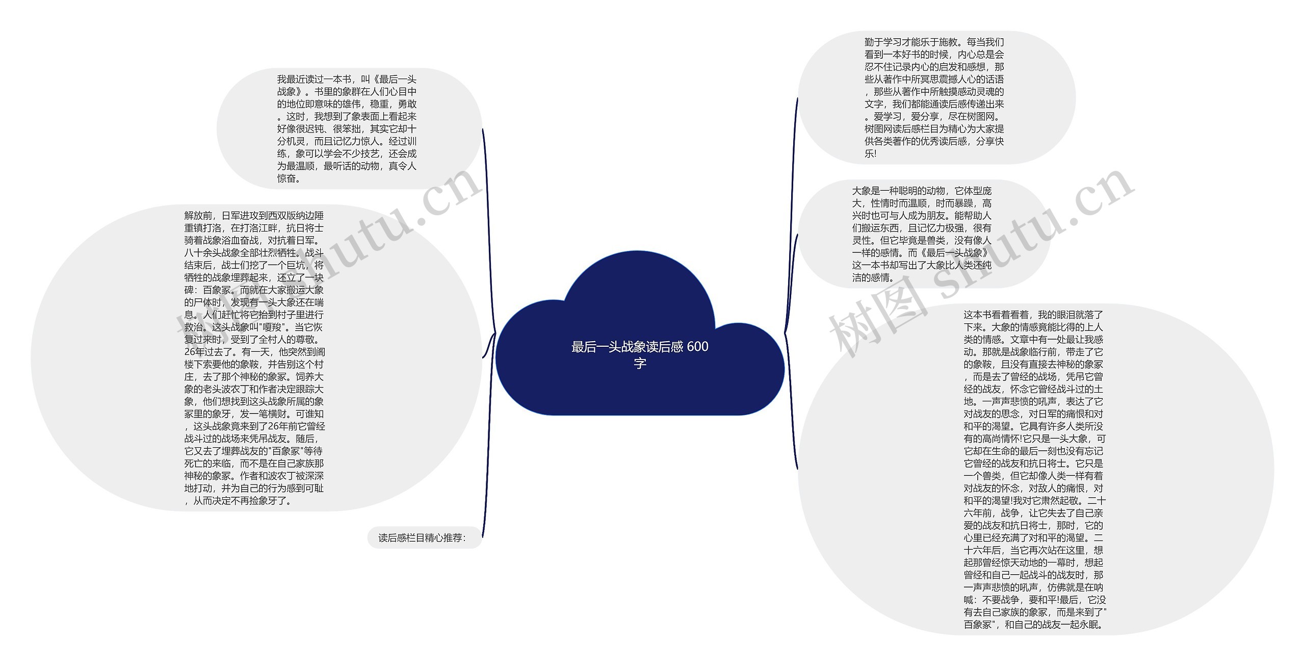 最后一头战象读后感 600字思维导图