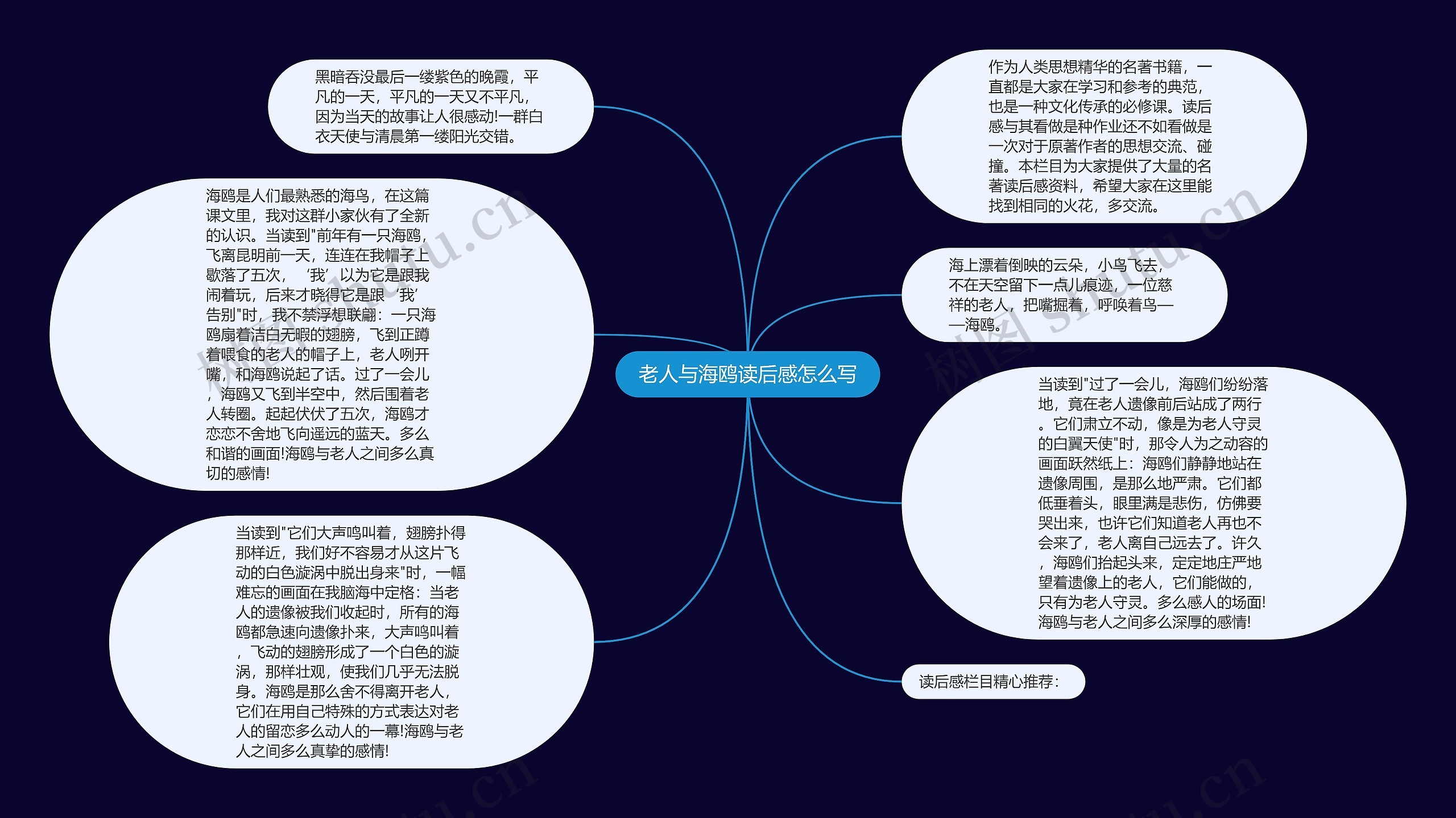 老人与海鸥读后感怎么写