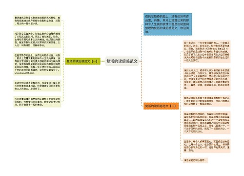 复活的读后感范文