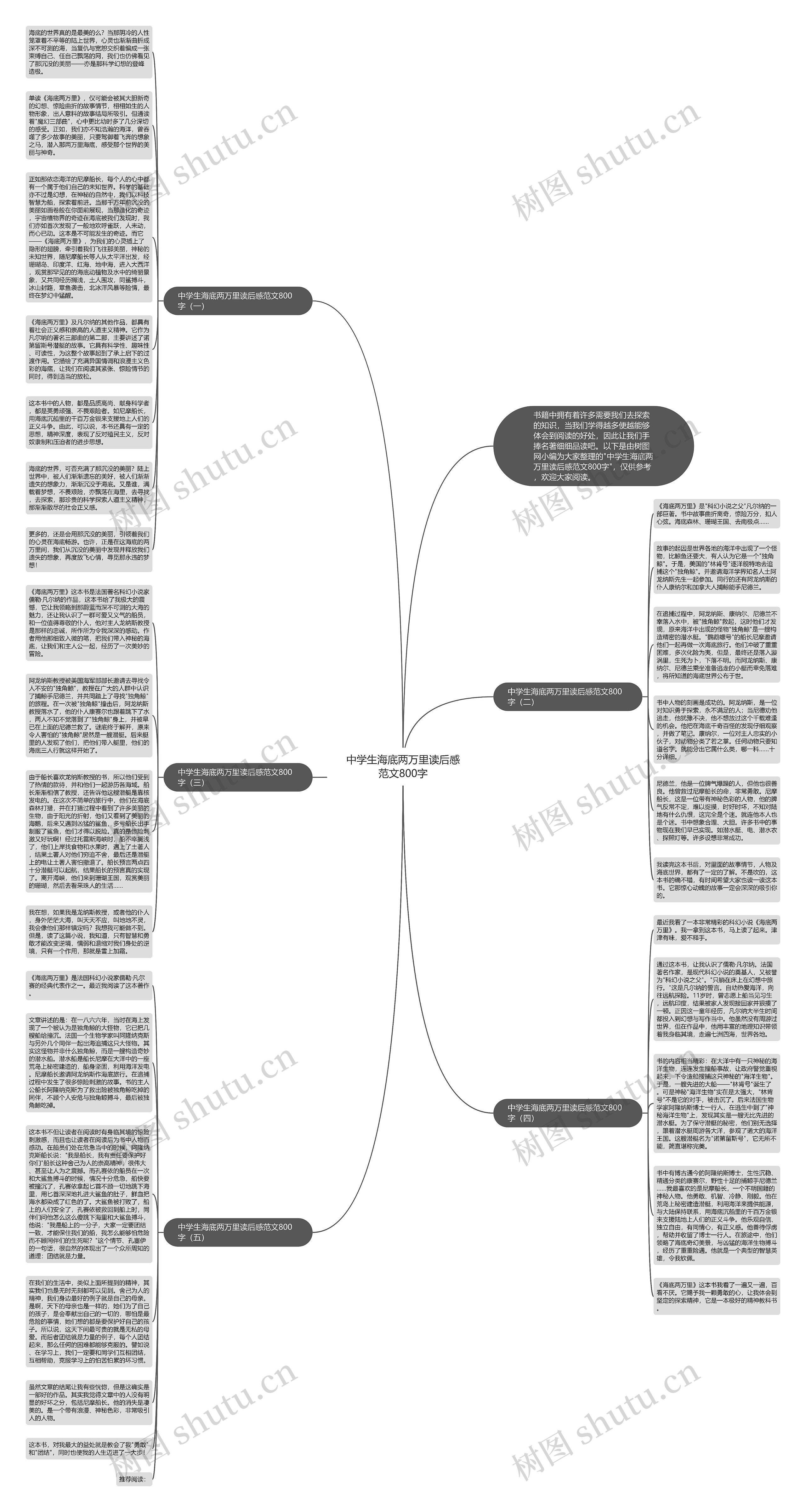 中学生海底两万里读后感范文800字思维导图