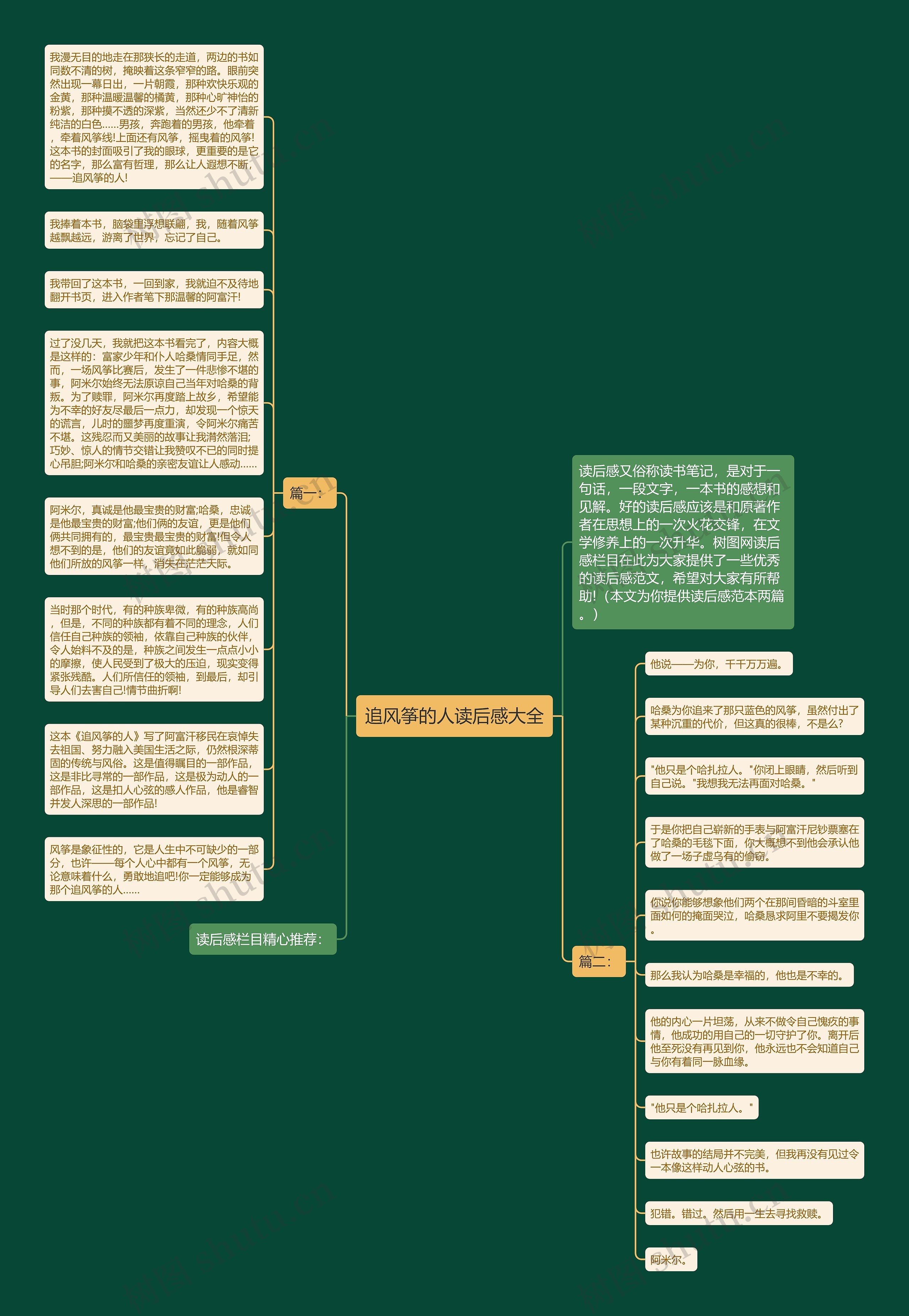 追风筝的人读后感大全