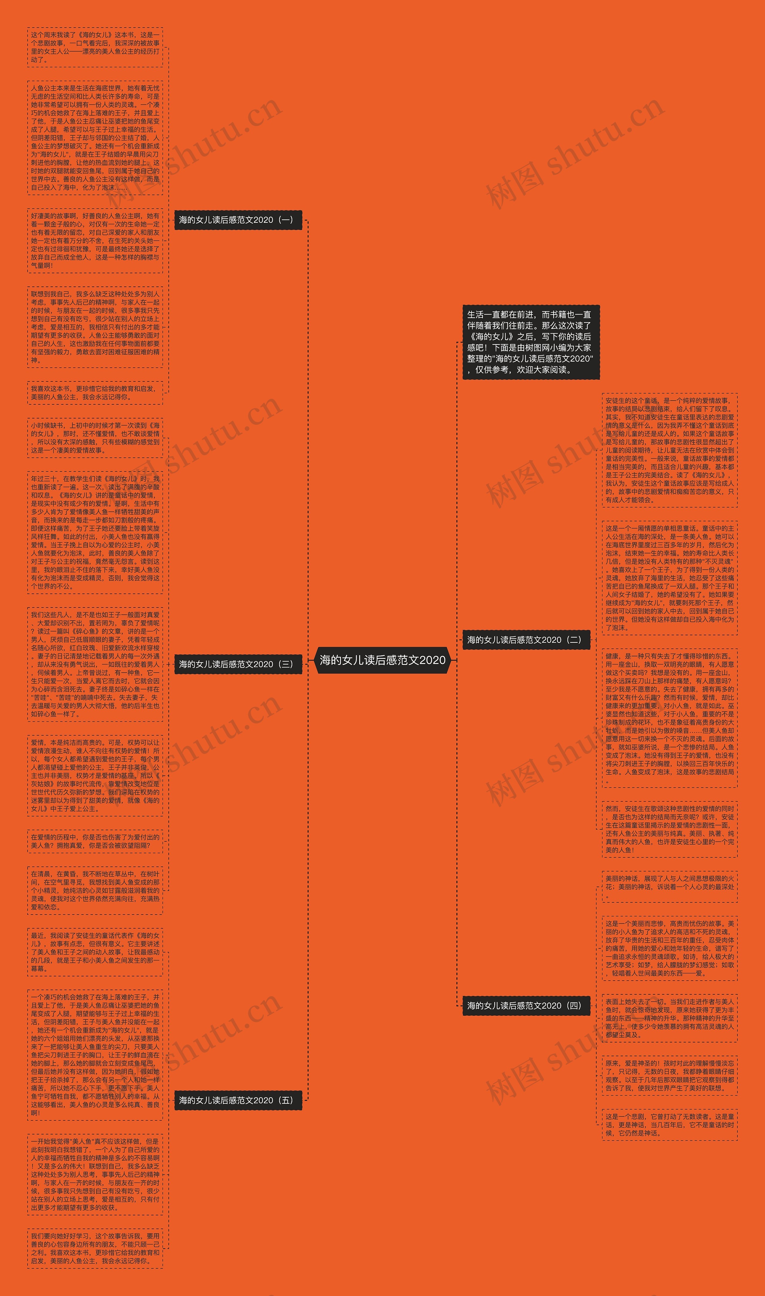 海的女儿读后感范文2020思维导图
