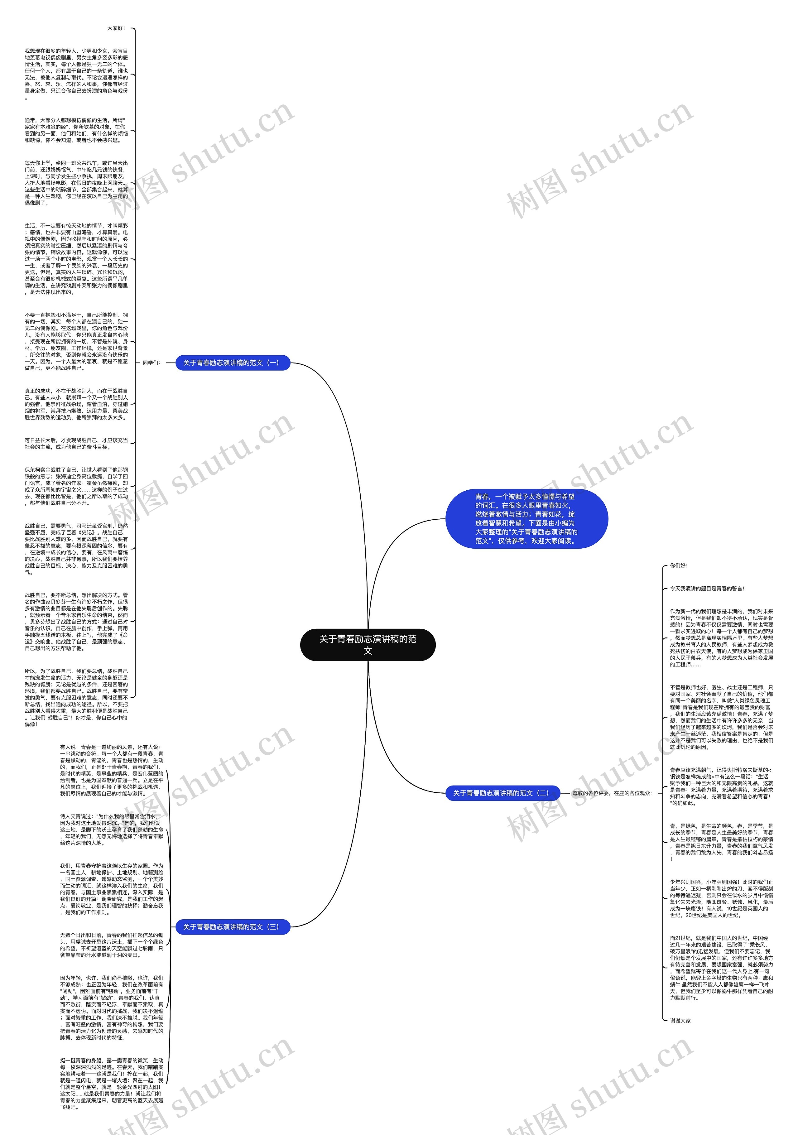 关于青春励志演讲稿的范文思维导图