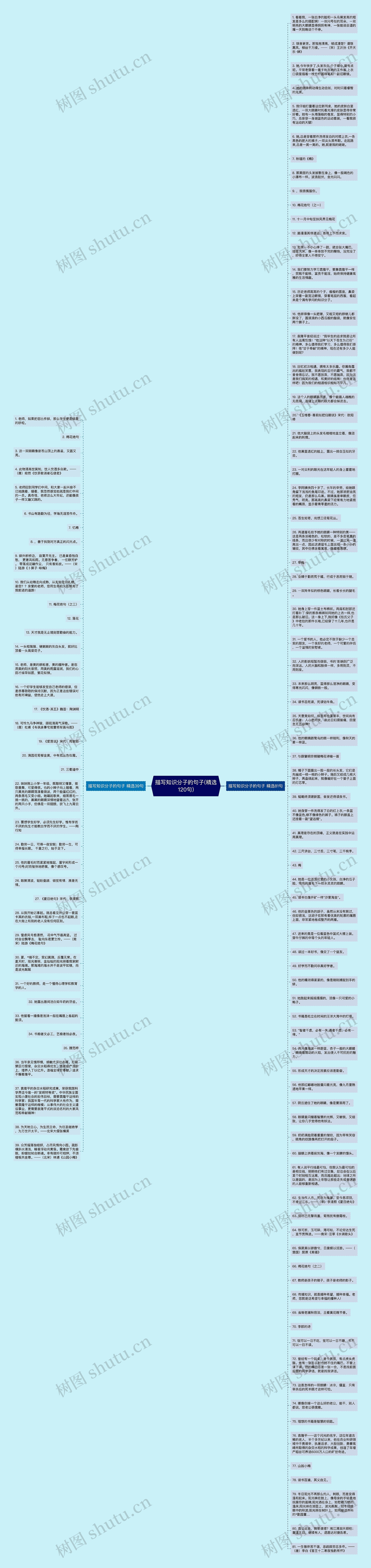 描写知识分子的句子(精选120句)思维导图