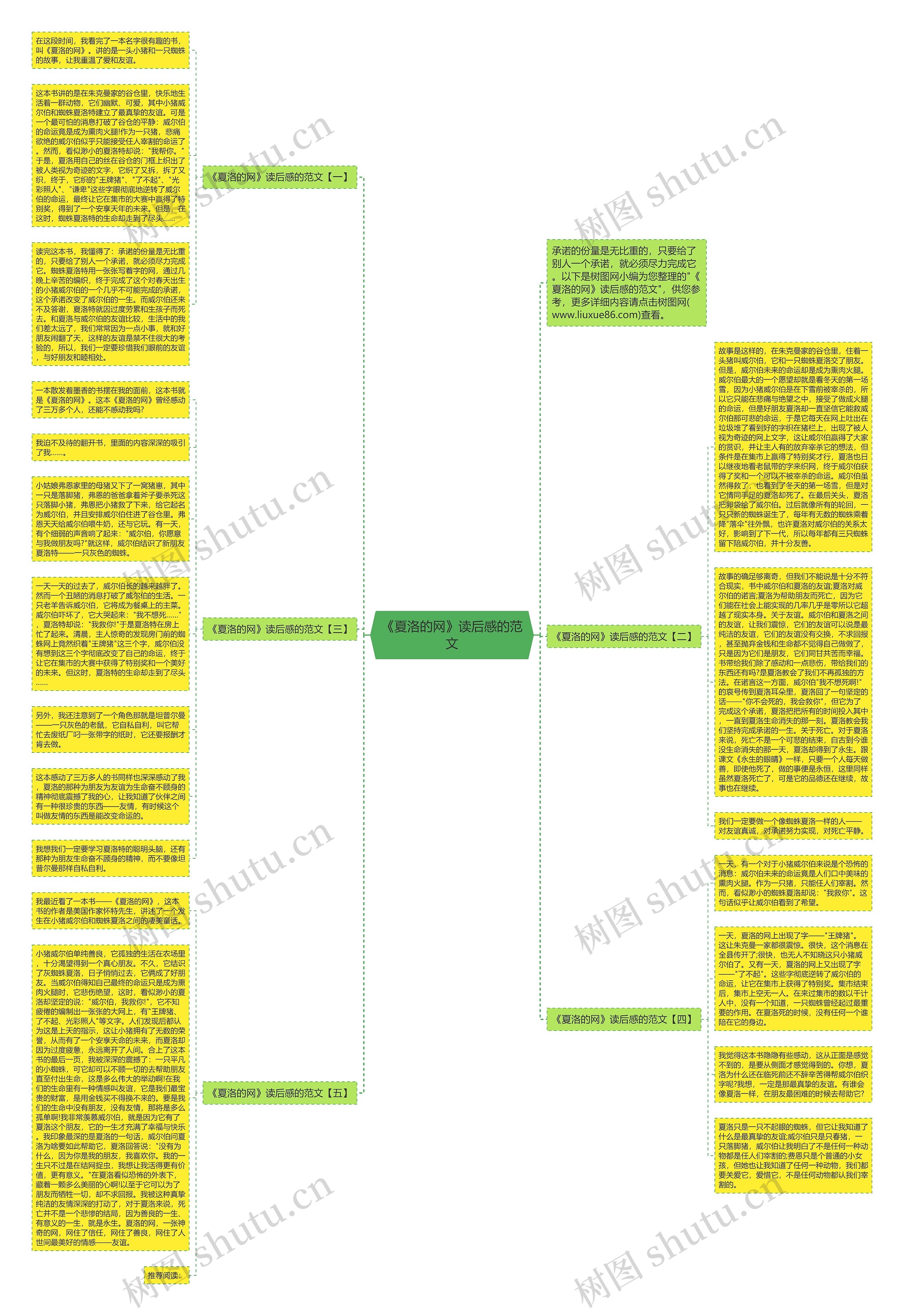 《夏洛的网》读后感的范文思维导图