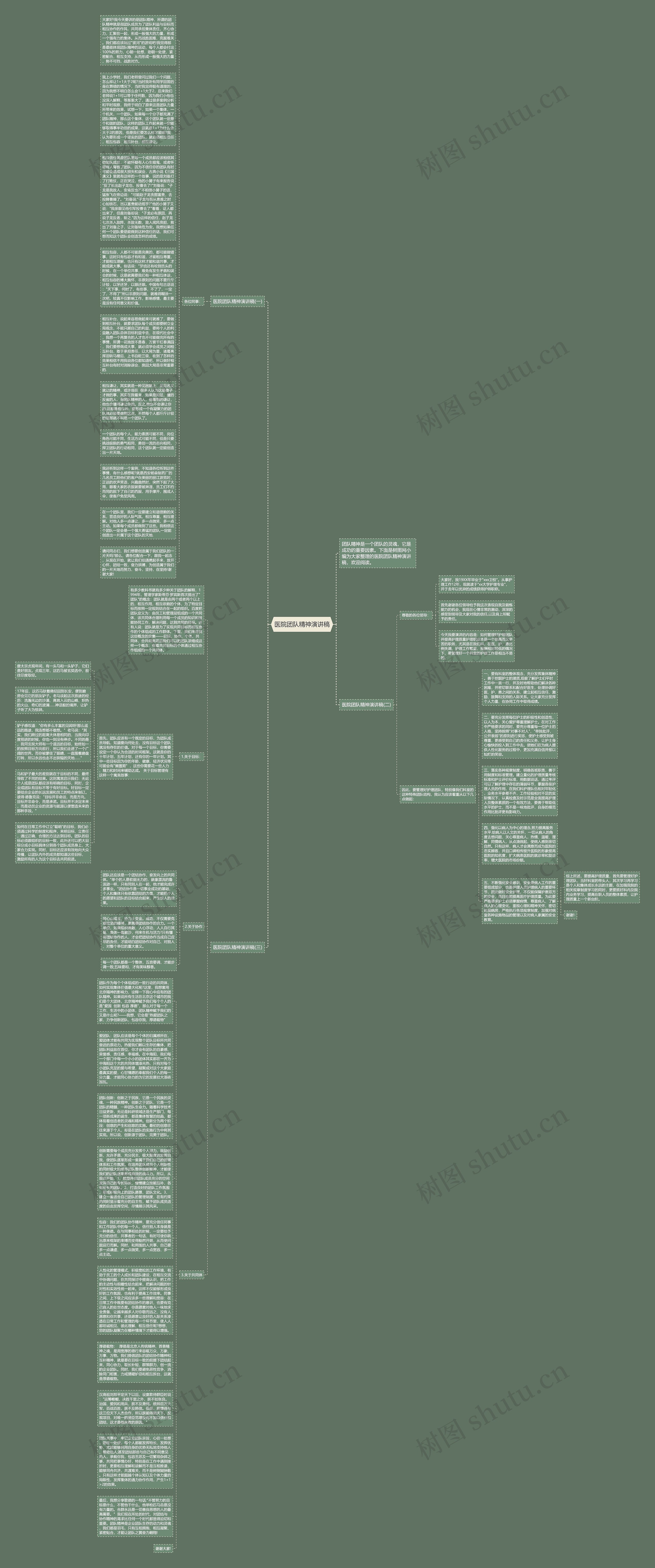 医院团队精神演讲稿思维导图