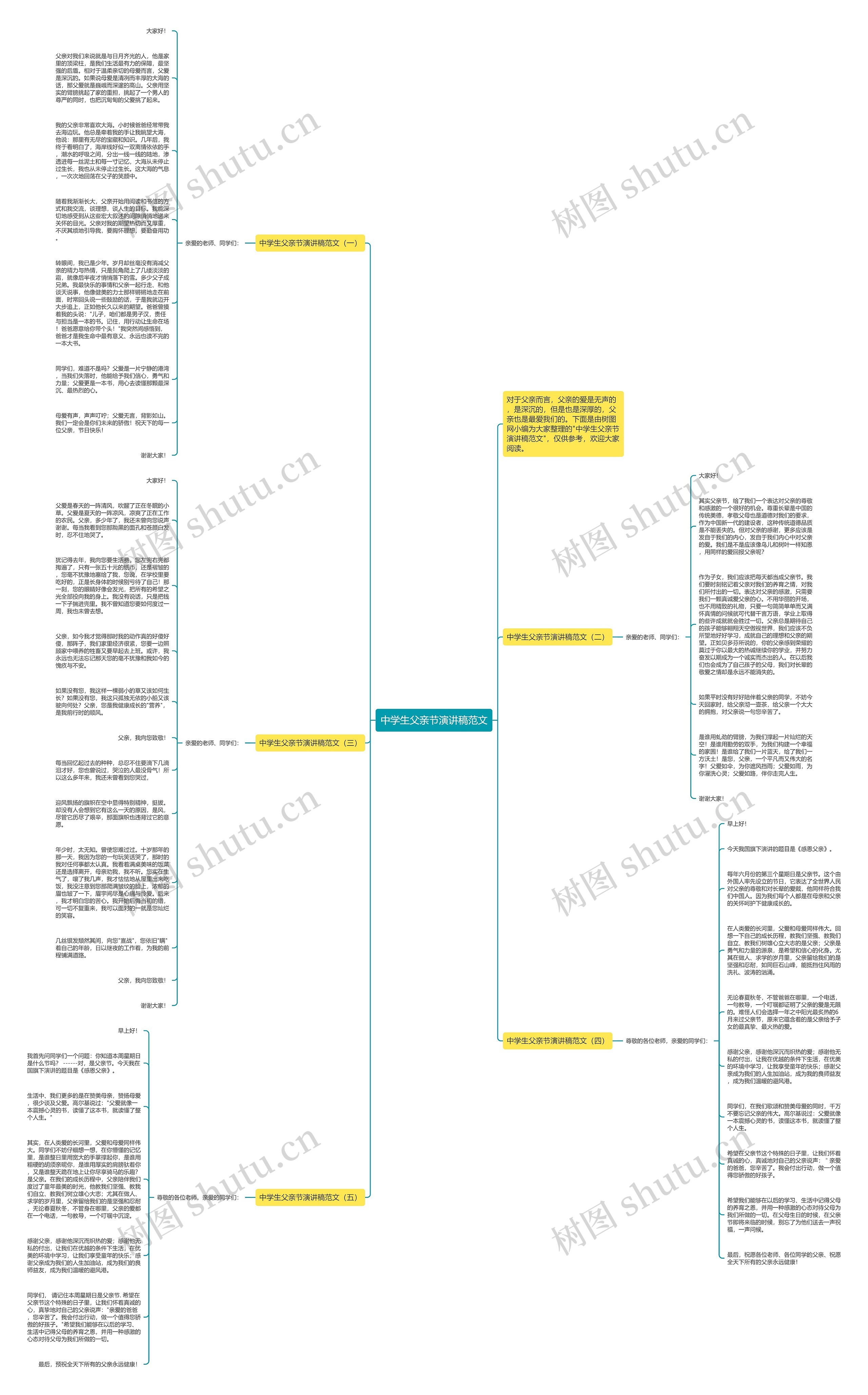 中学生父亲节演讲稿范文思维导图
