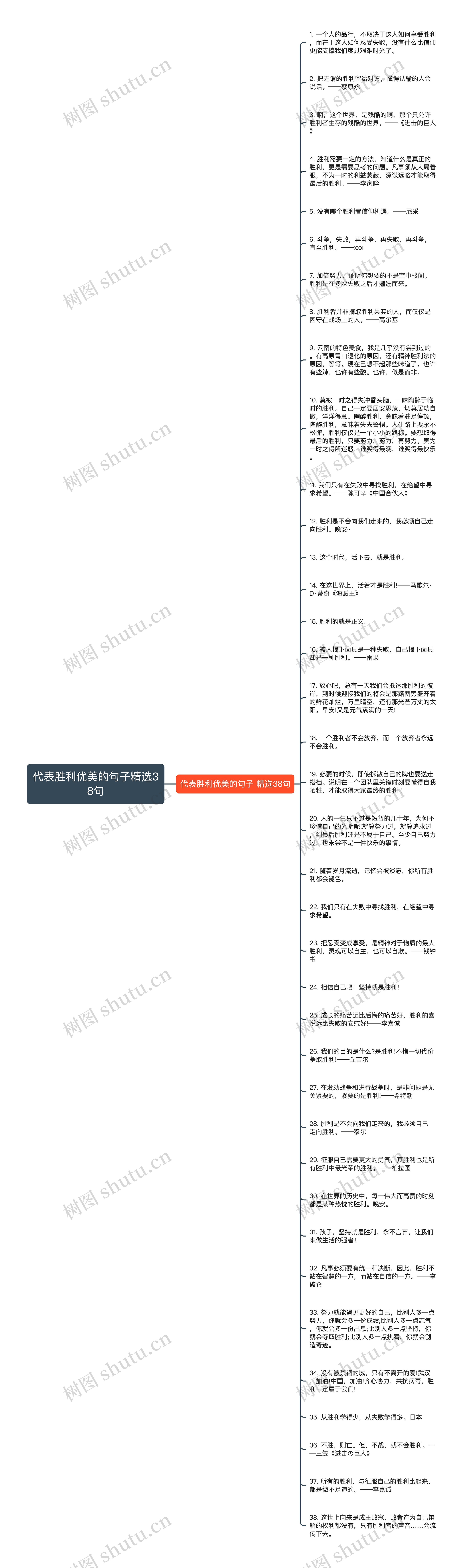 代表胜利优美的句子精选38句