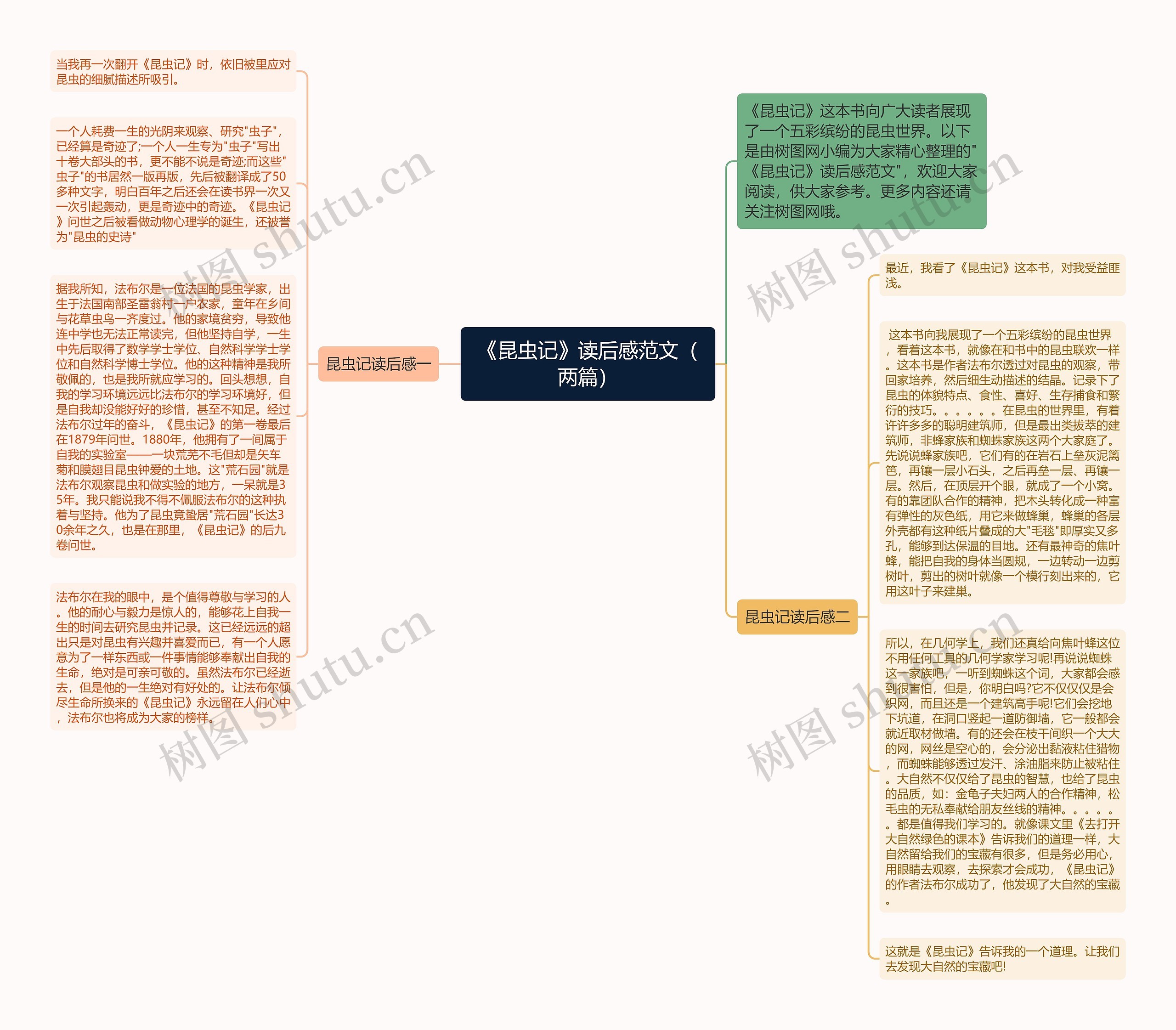 《昆虫记》读后感范文（两篇）思维导图