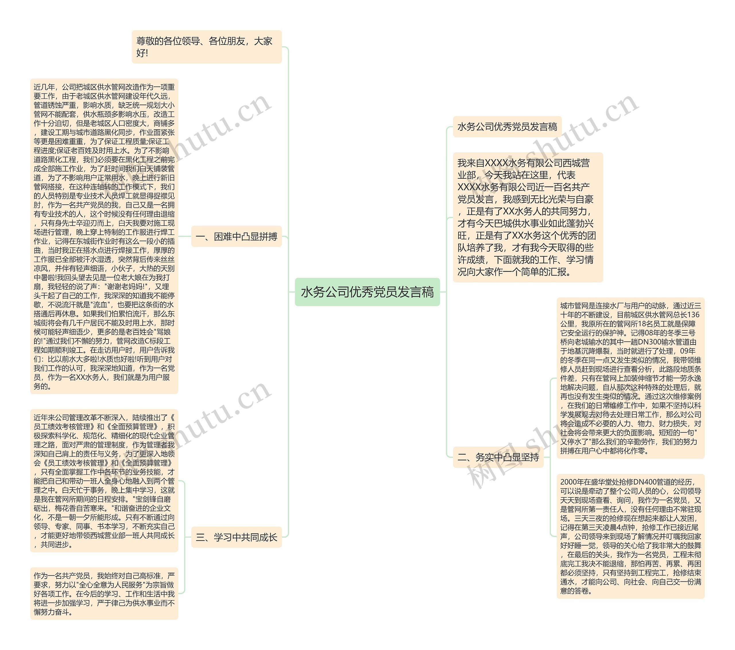 水务公司优秀党员发言稿思维导图