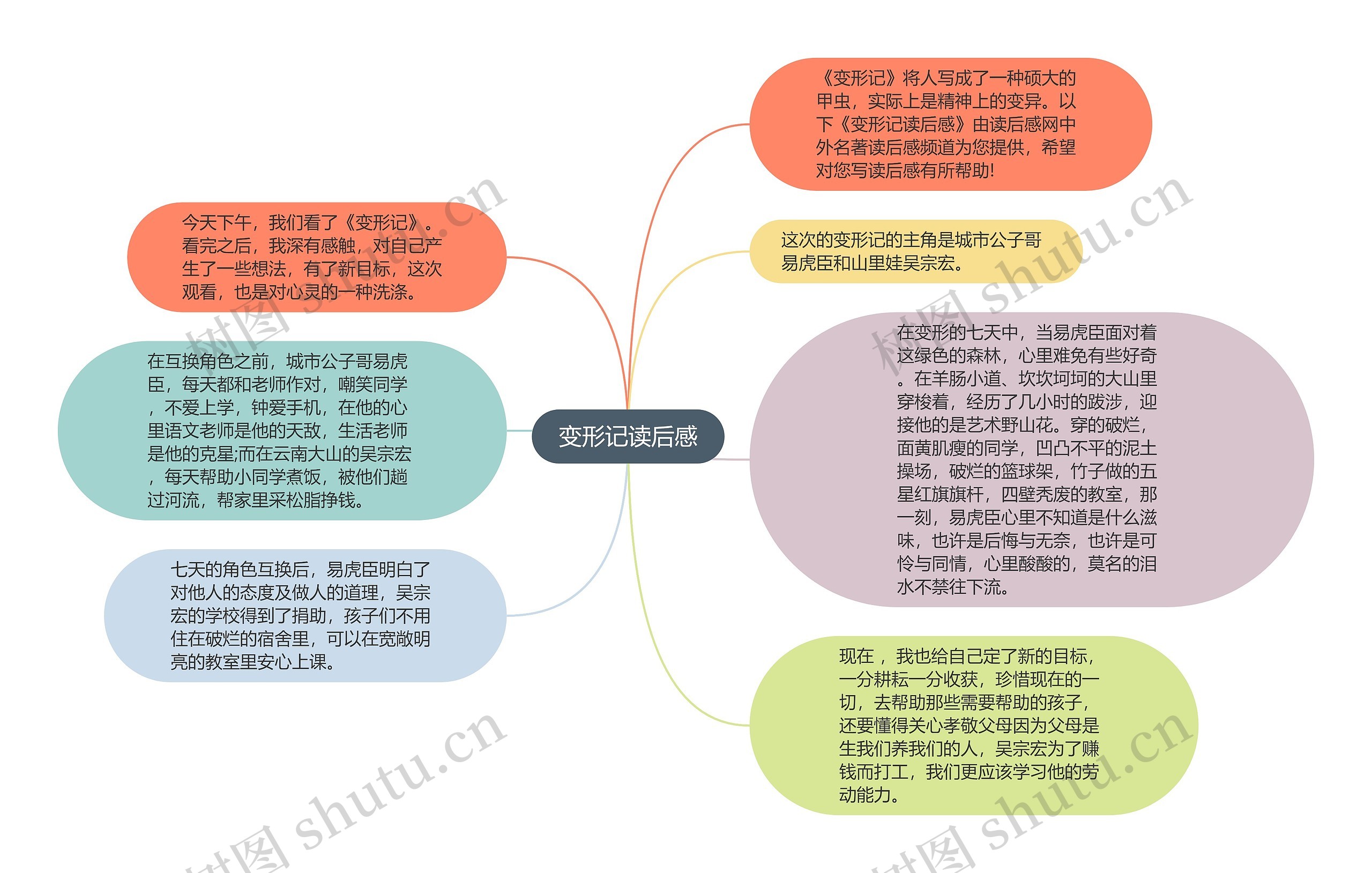 变形记读后感思维导图