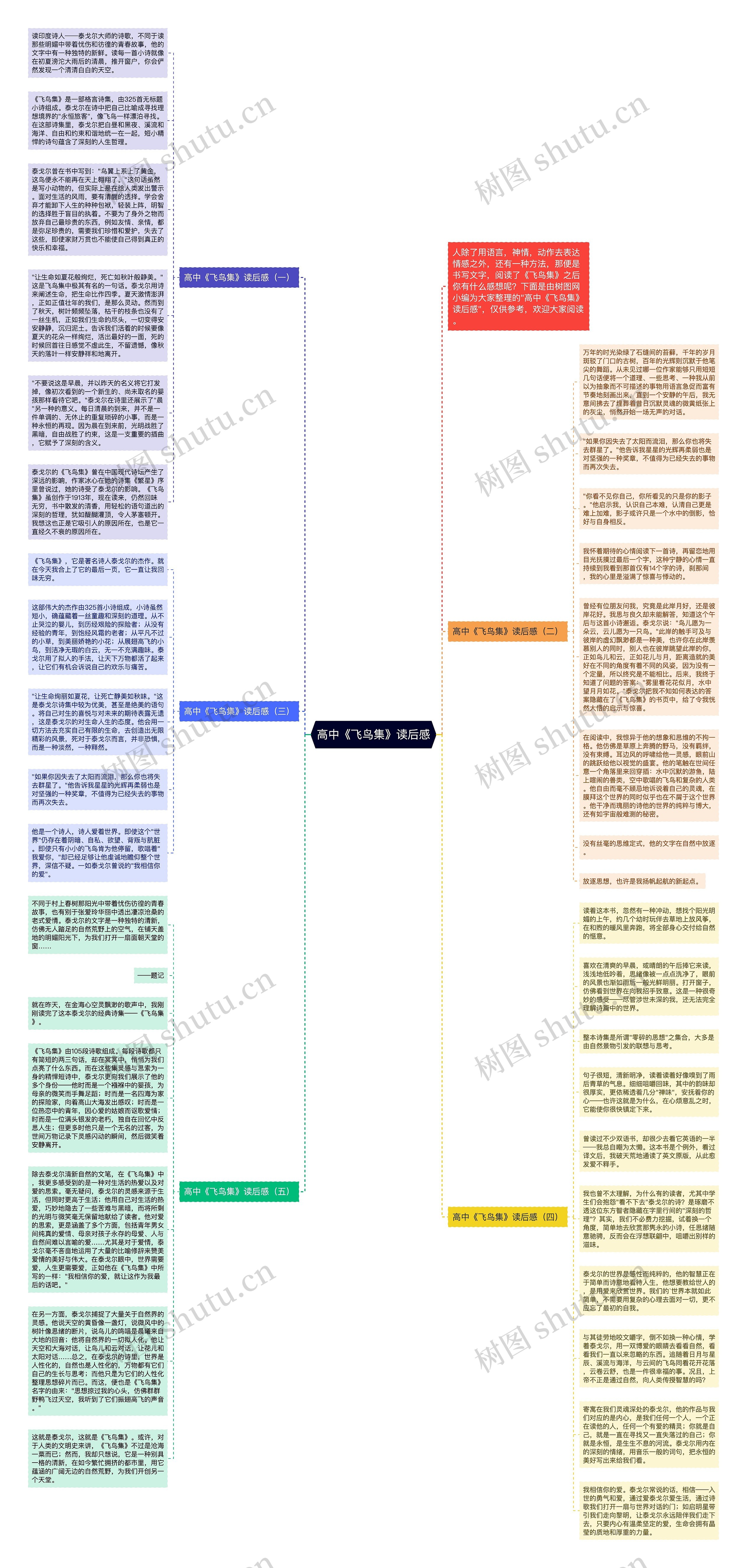 高中《飞鸟集》读后感思维导图
