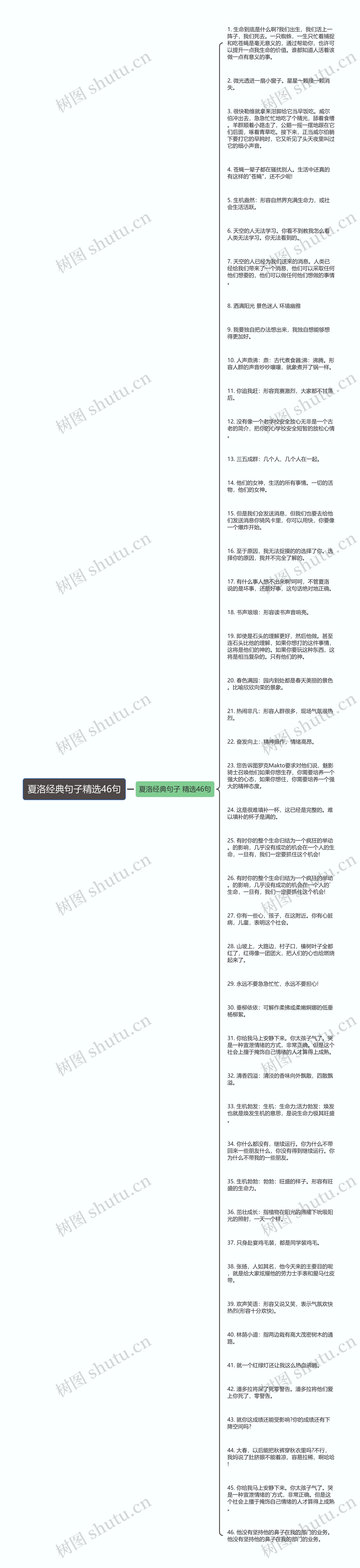 夏洛经典句子精选46句