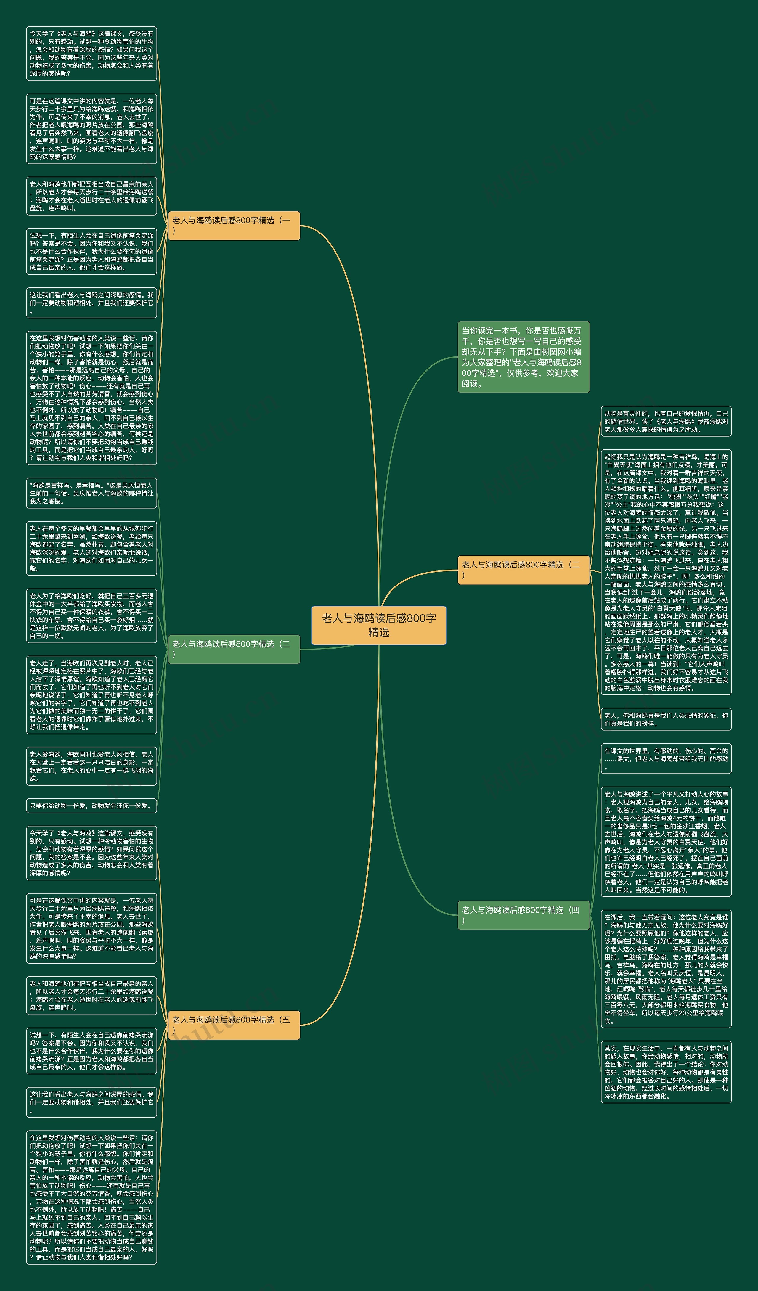 老人与海鸥读后感800字精选思维导图
