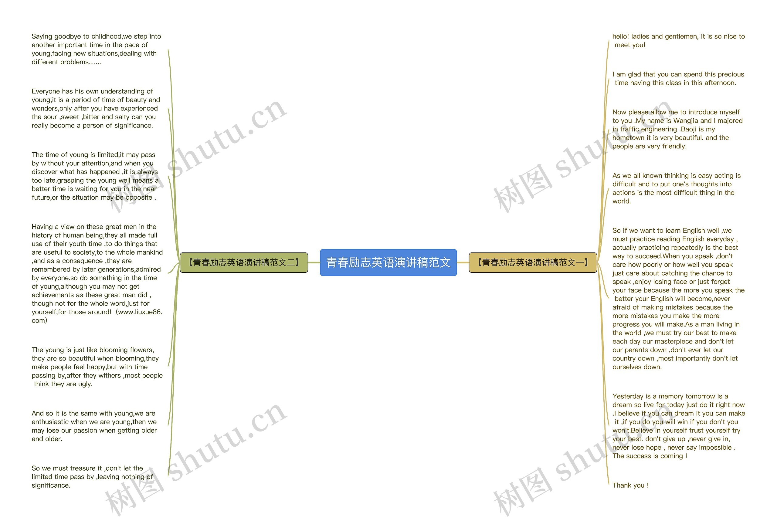 青春励志英语演讲稿范文思维导图