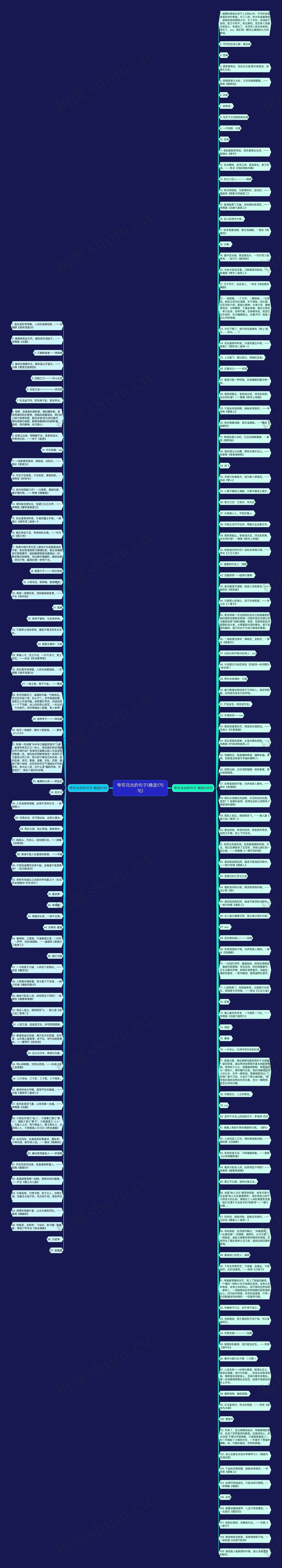 夸司马光的句子(精选175句)思维导图高清图 夸司马光的句子(精选175句)思维导图
