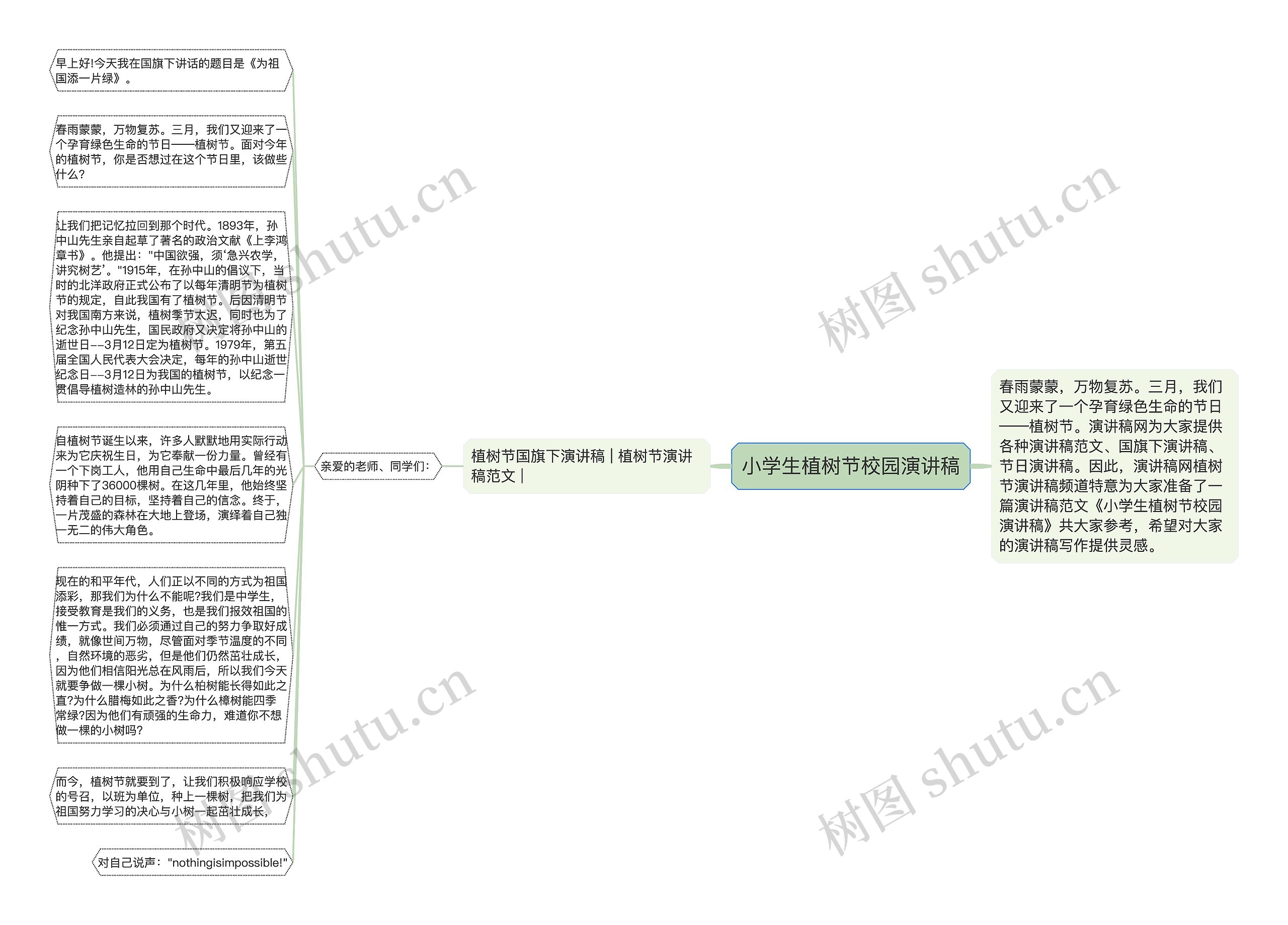 小学生植树节校园演讲稿思维导图