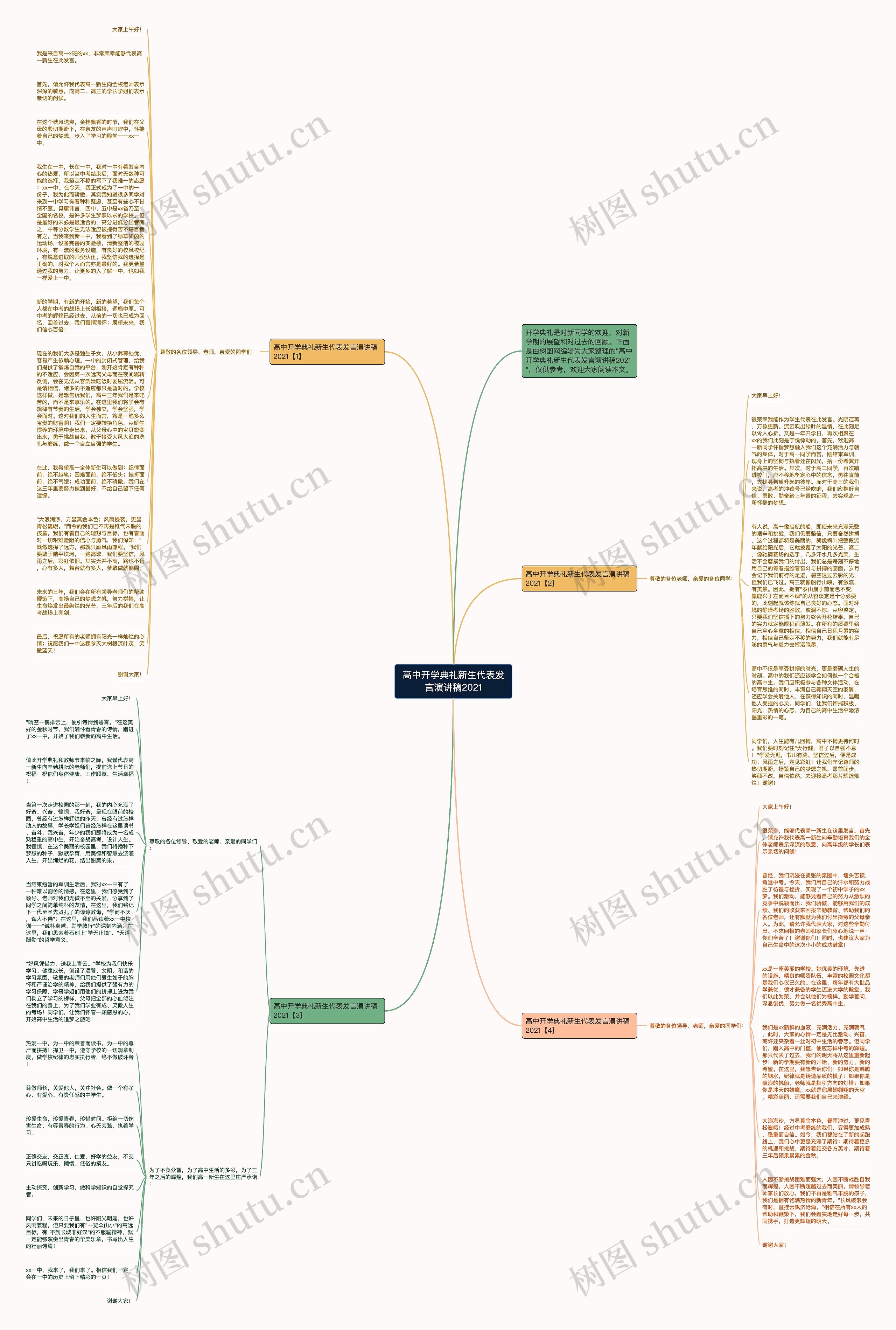 高中开学典礼新生代表发言演讲稿2021思维导图