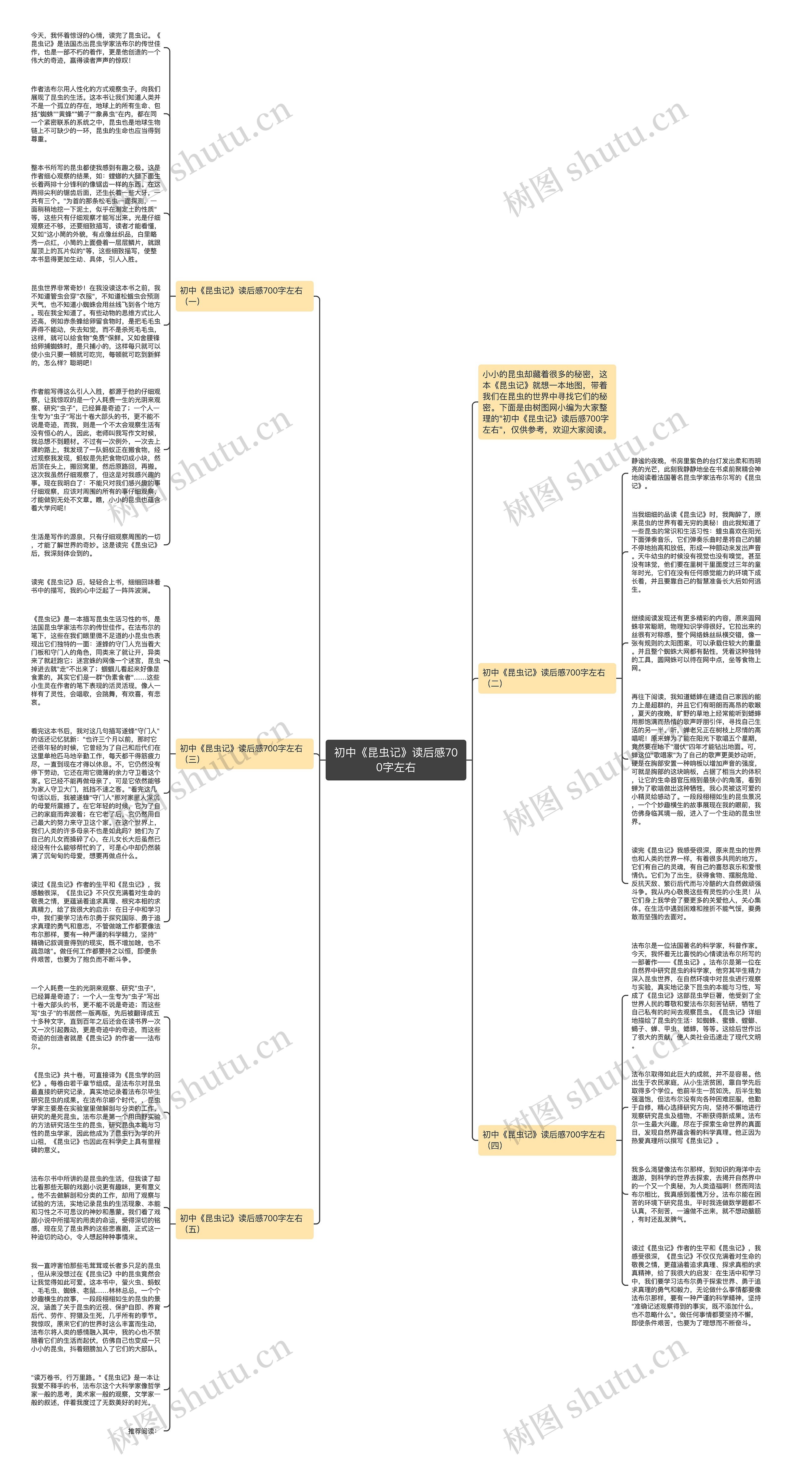 初中《昆虫记》读后感700字左右思维导图