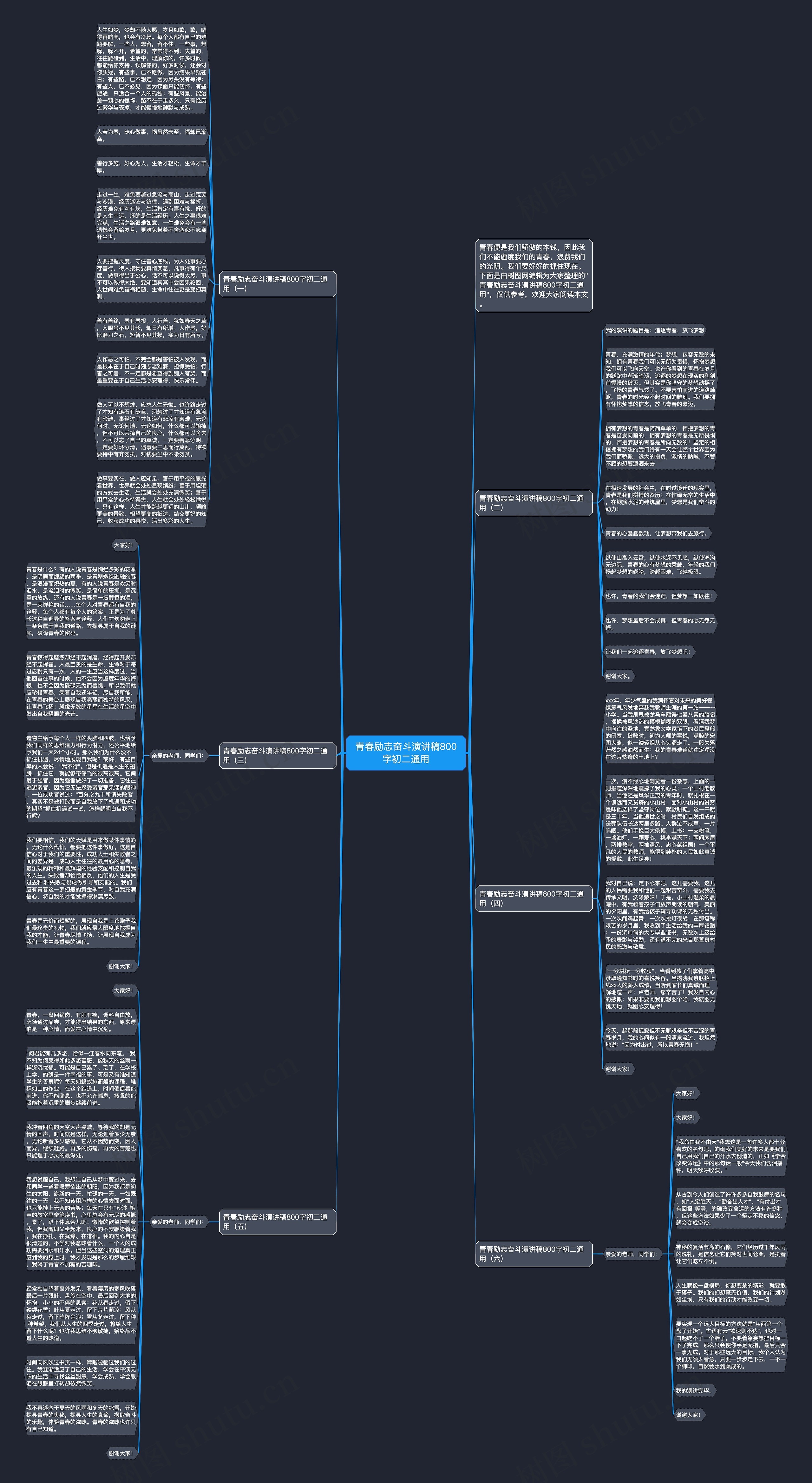 青春励志奋斗演讲稿800字初二通用思维导图