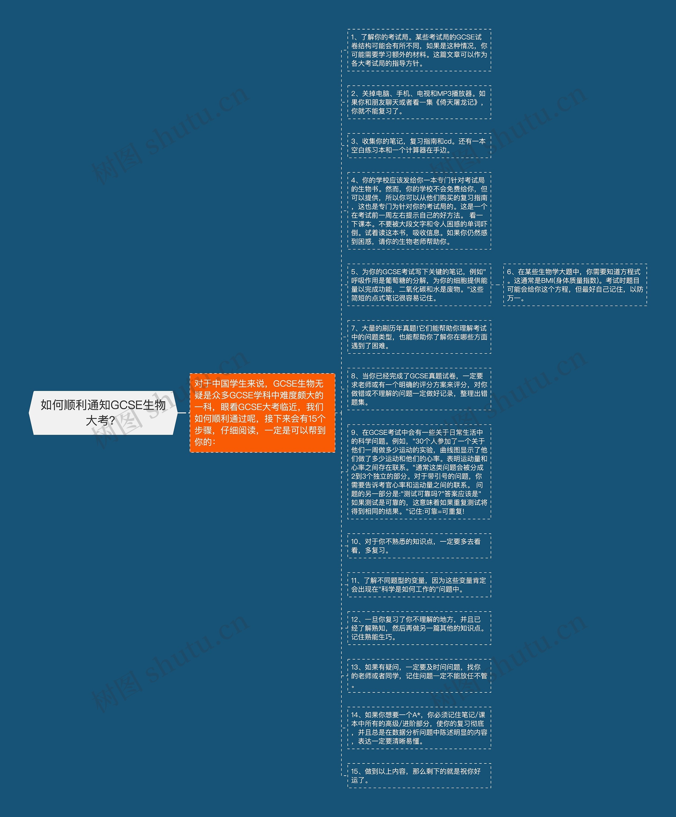 如何顺利通知GCSE生物大考？思维导图